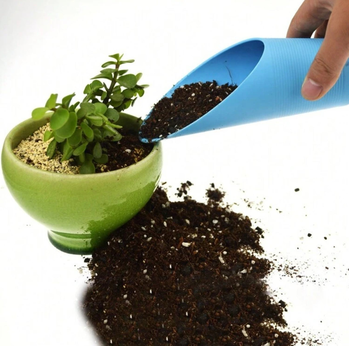 terrarium-or-aquarium-tweezers-pack-of-2