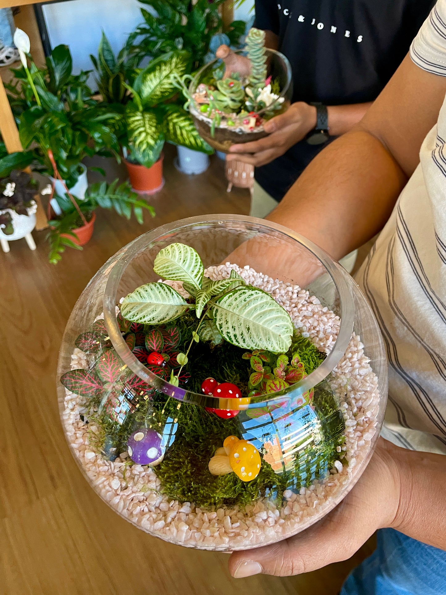 Kids Terrarium Workshop Gift