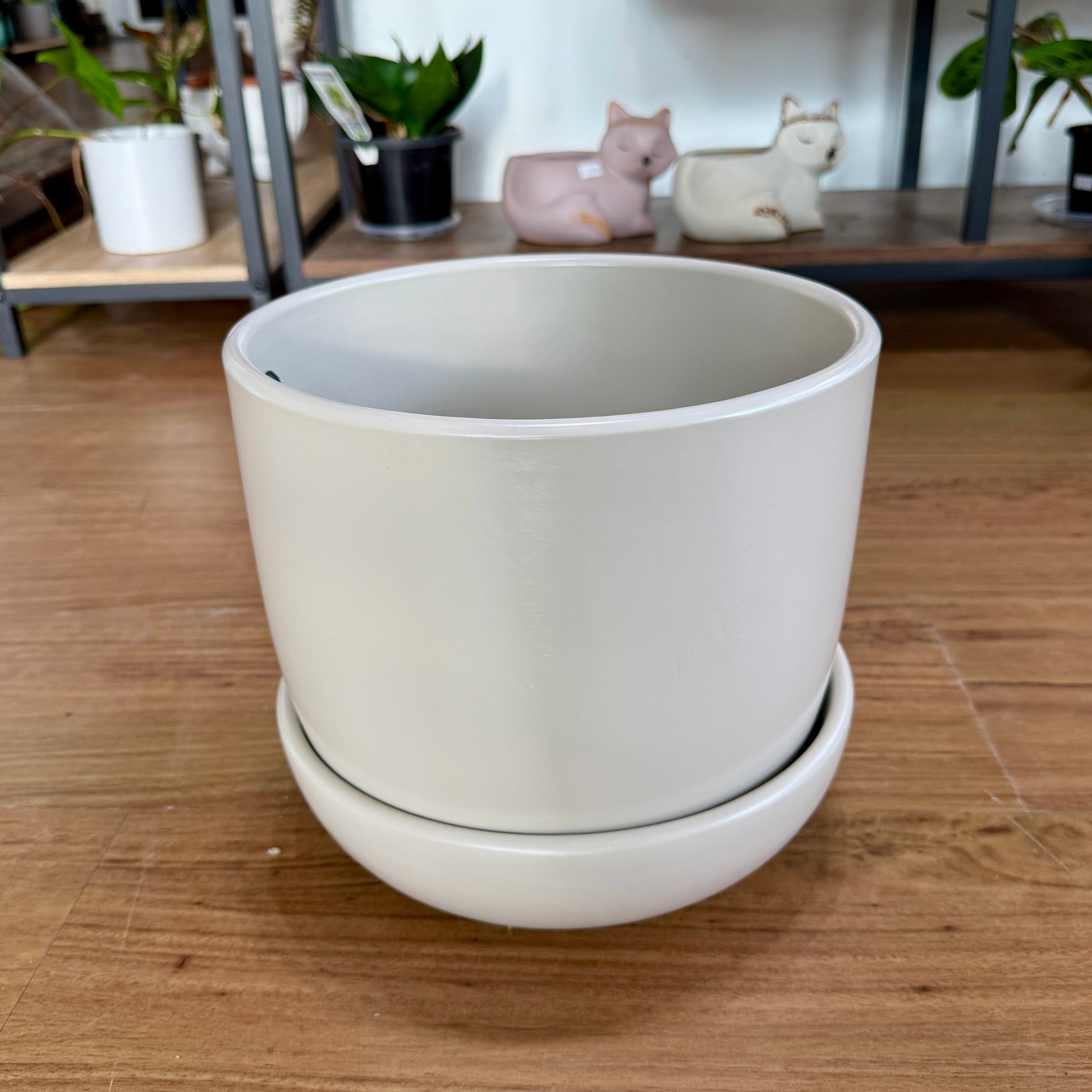 Stylish indoor pot with saucer for Sydney homes – perfect for plants