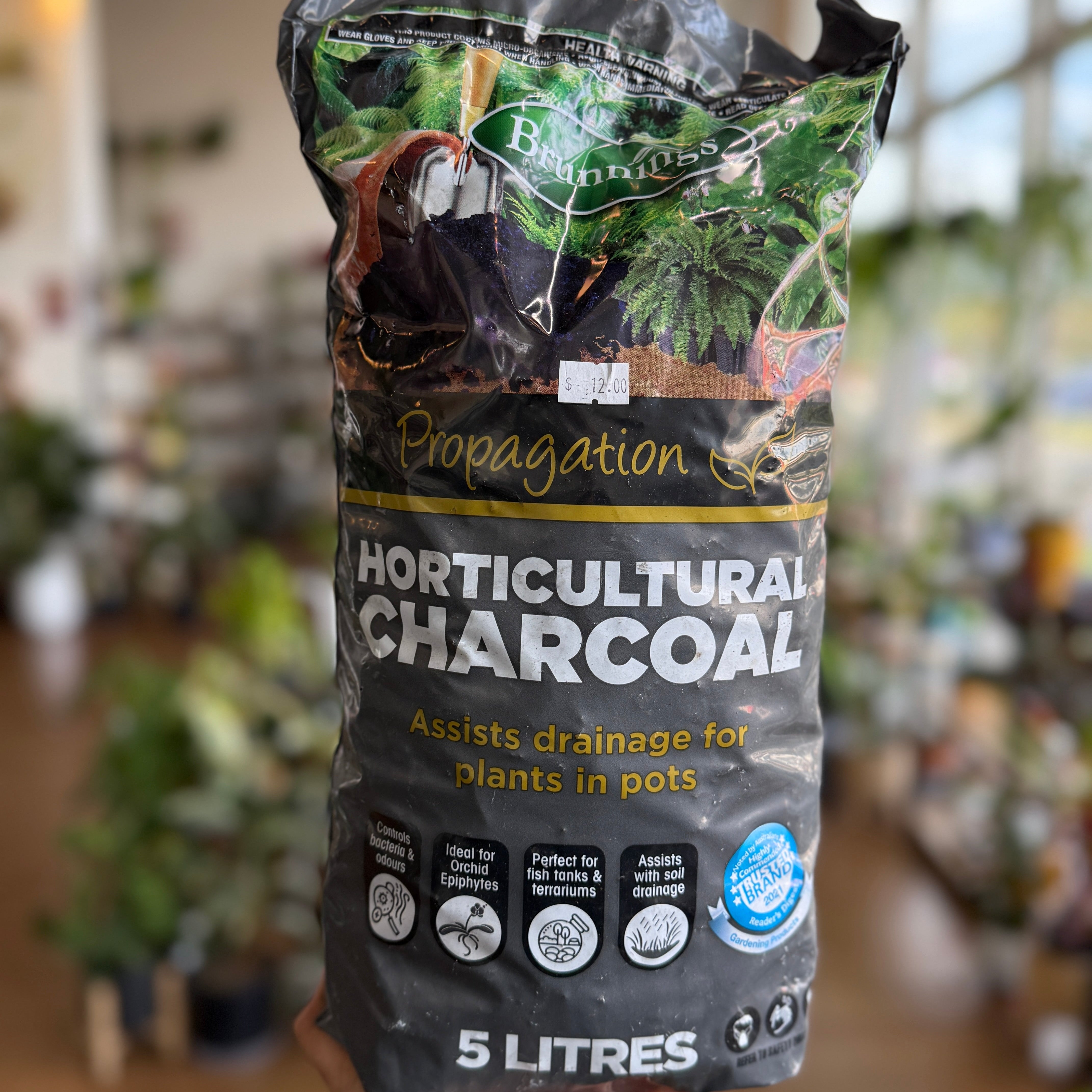horticultural charcoal for succulents Horticultural Charcoal – Improves Drainage & Prevents Root Rot – Wera Plants