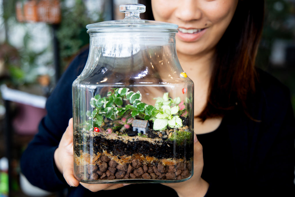 Tropical Terrarium Workshop