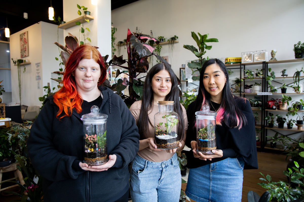 Tropical Terrarium Workshop