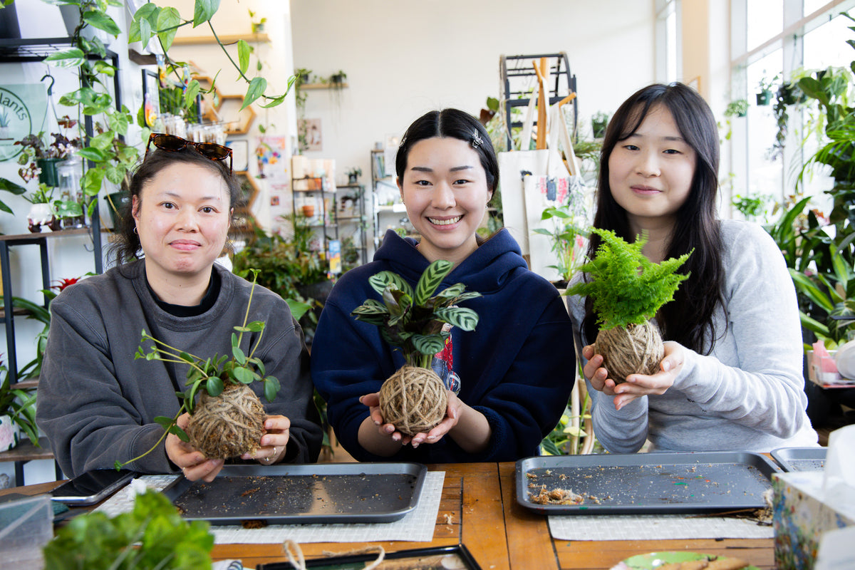Kokedama Workshop – Create Your Own Moss Ball Magic!