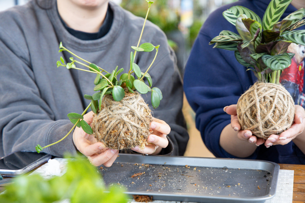 Kids Kokedama Workshop- Create Your Own Moss Ball Magic! 🌱