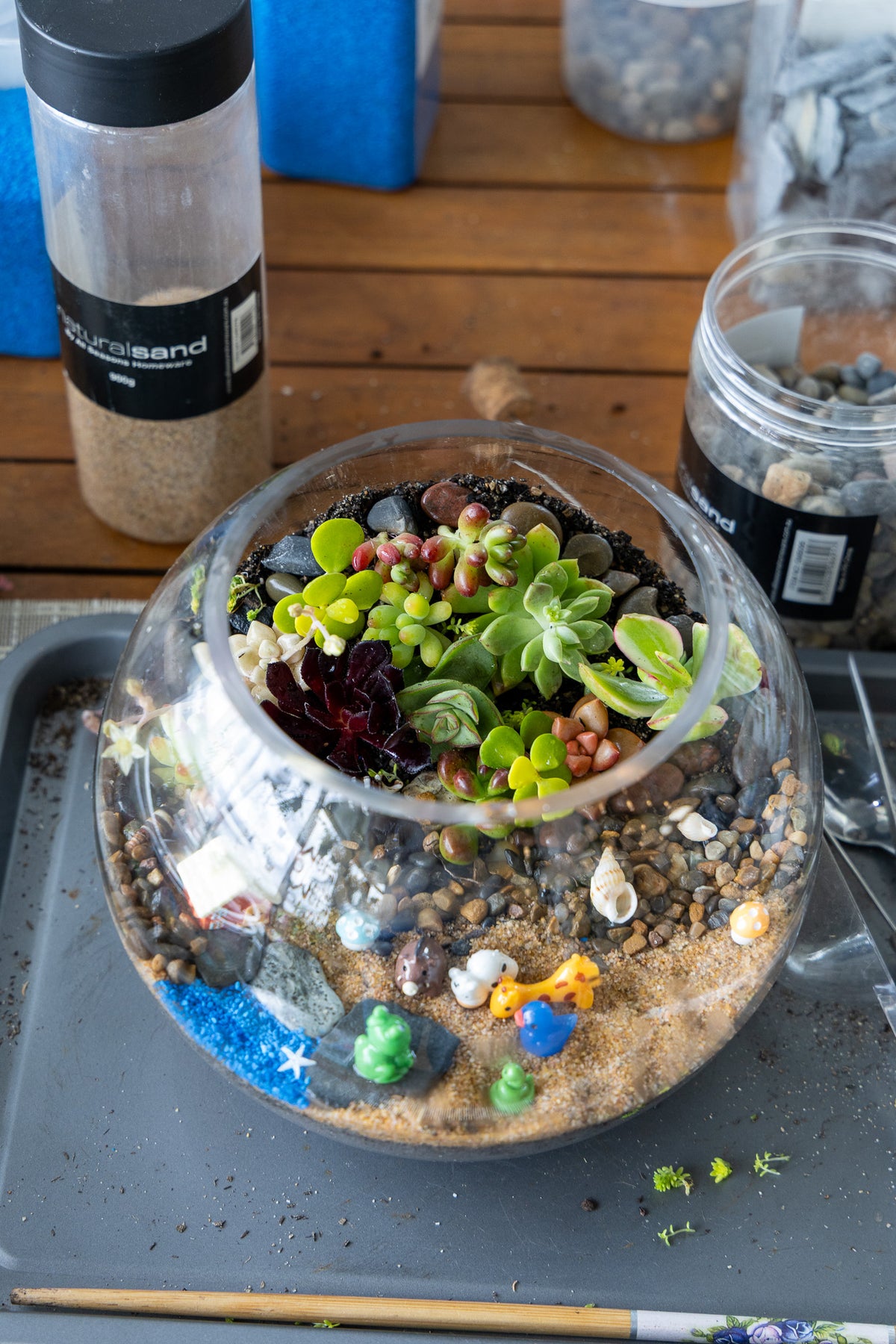 Succulent Terrarium Workshop