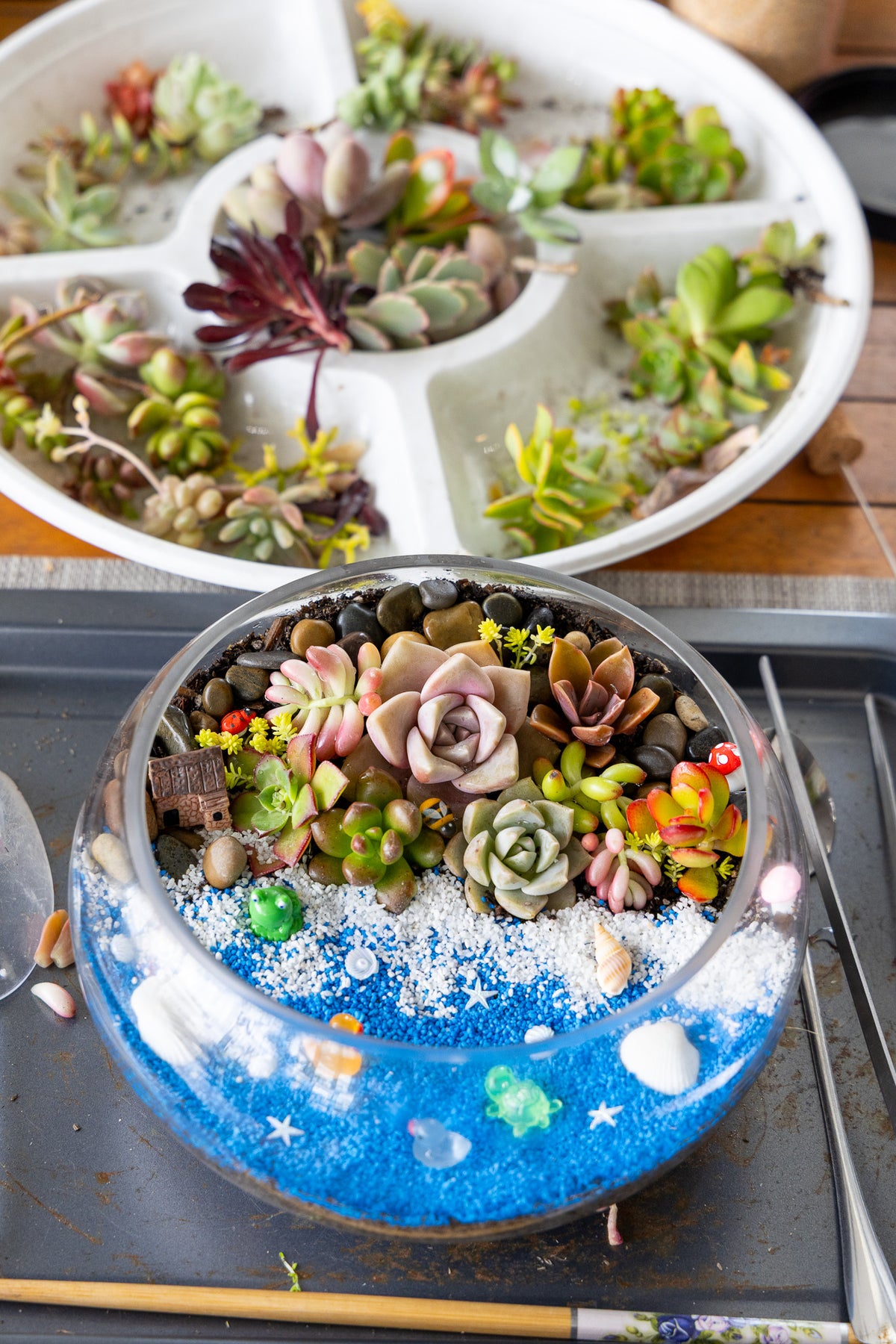 Succulent Terrarium Workshop