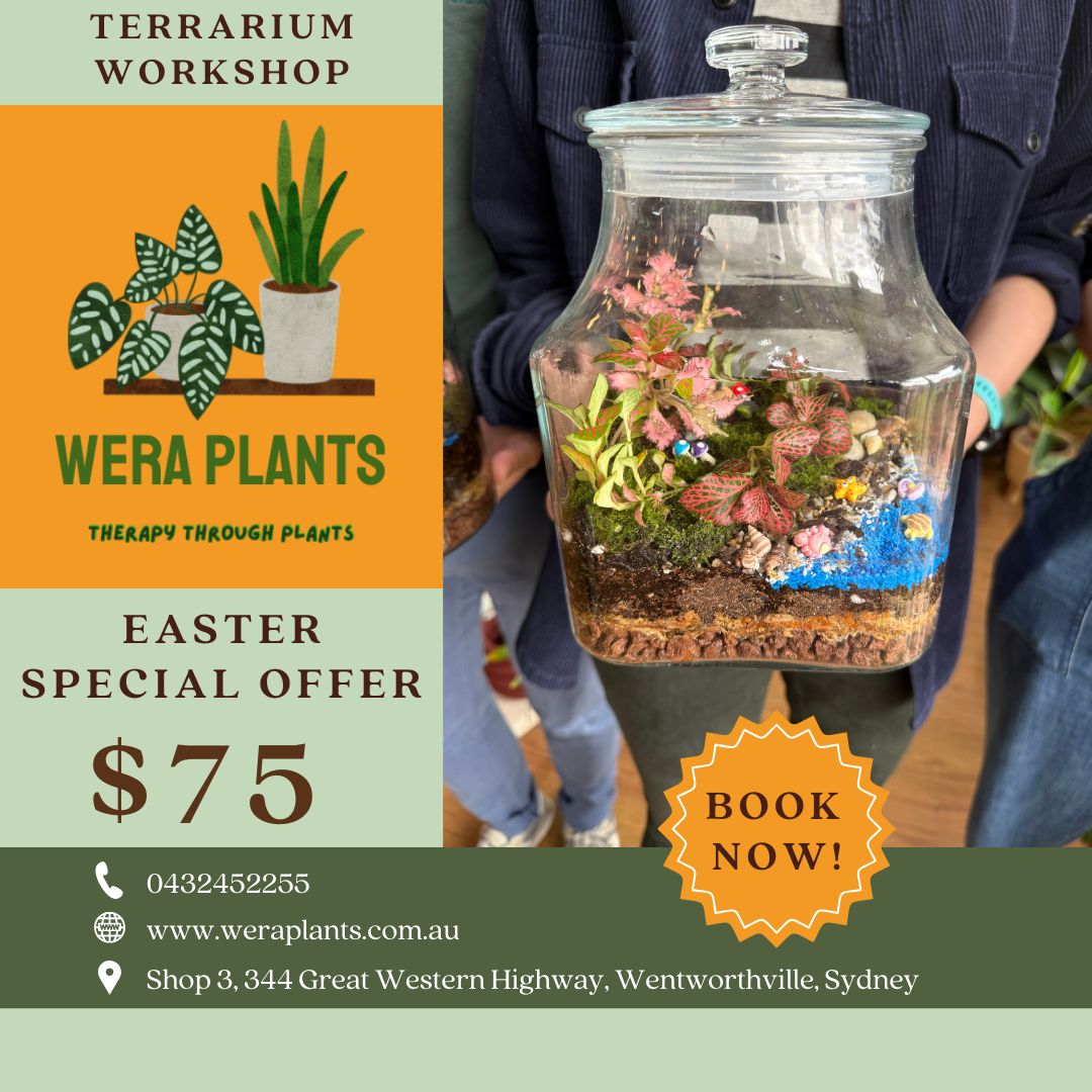 Easter 'Terrarium & Kokedama' Workshop in Sydney 🐰🦆