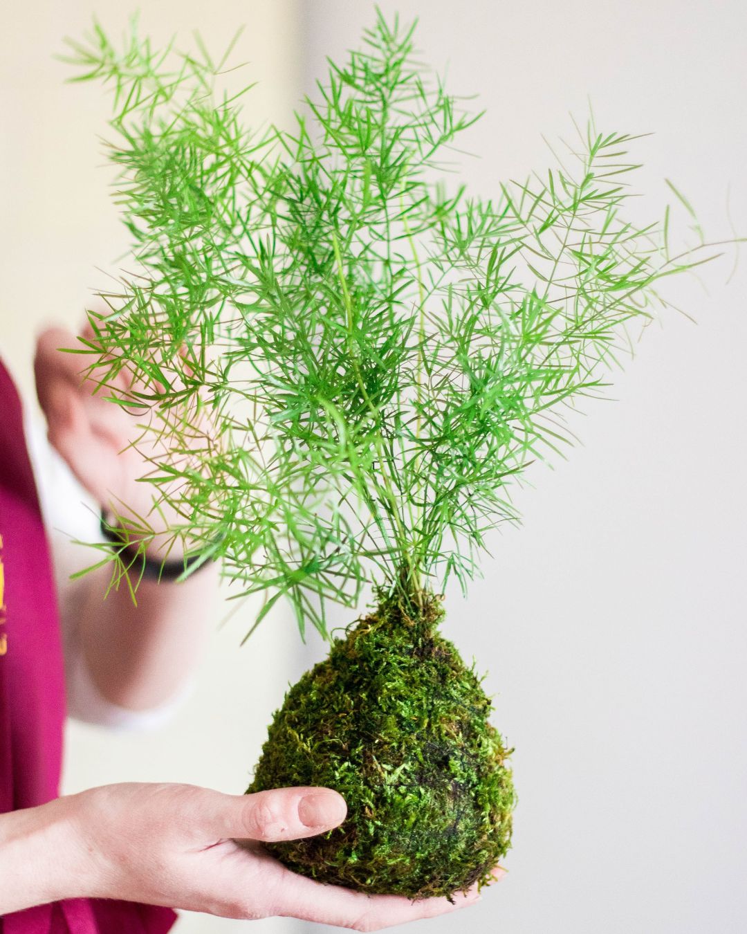 Kokedama Workshop – Create Your Own Moss Ball Magic! 🌱