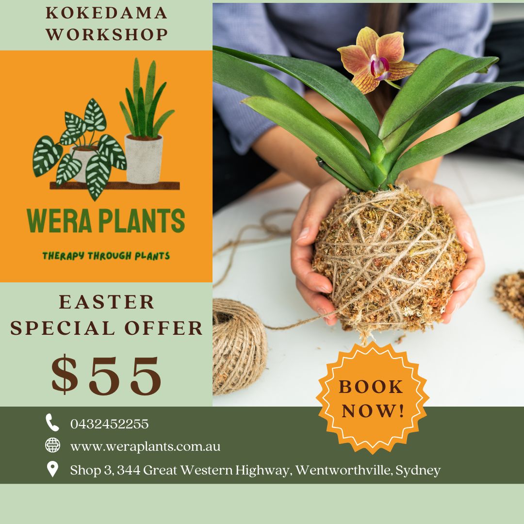 Easter 'Terrarium & Kokedama' Workshop in Sydney 🐰🦆