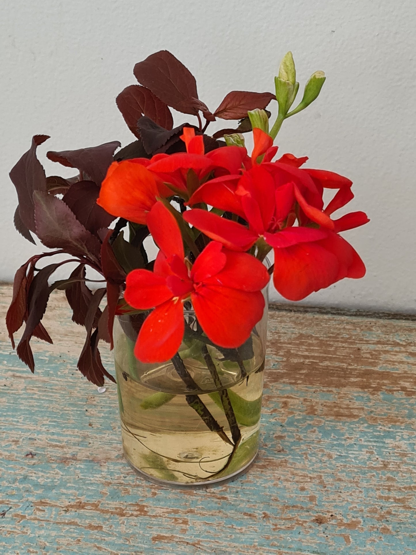 Flower Therapy Workshop- Mindful Floral Creativity at Wera Plants