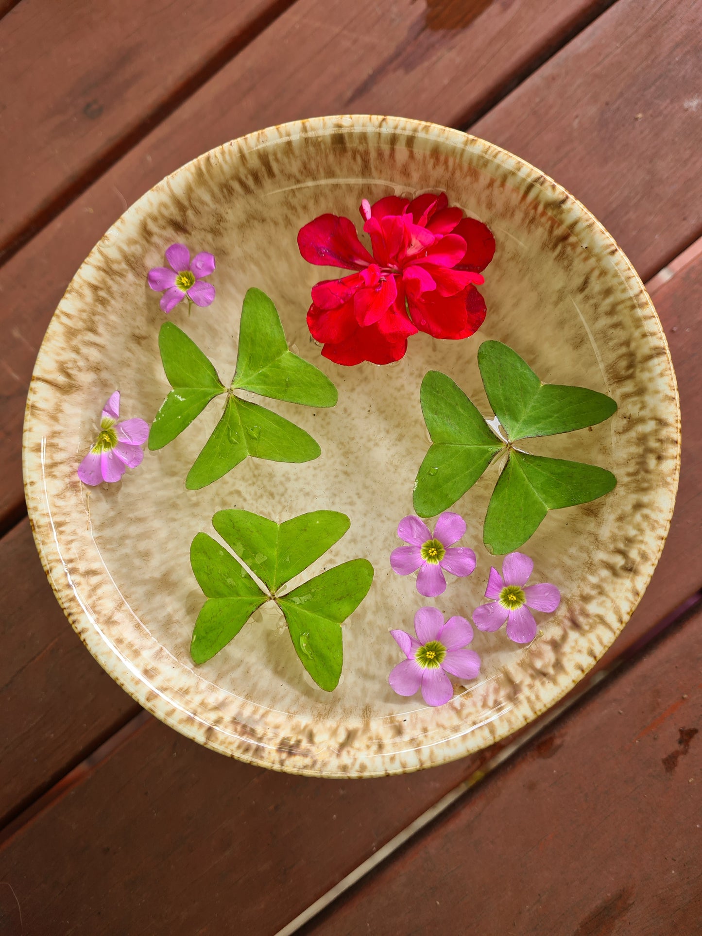Flower Therapy Workshop- Mindful Floral Creativity at Wera Plants