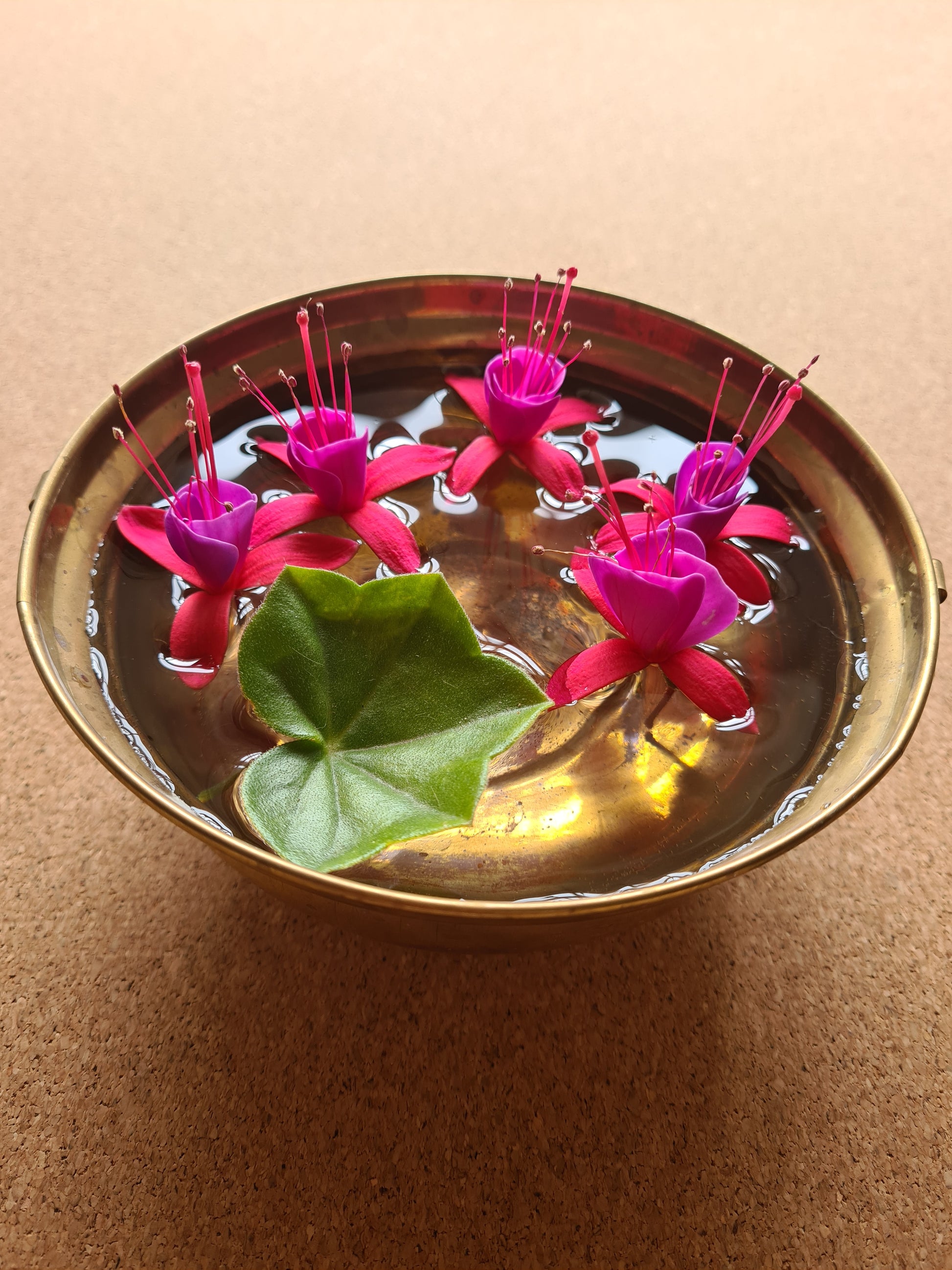 Flower Therapy Workshop by Meenakshi