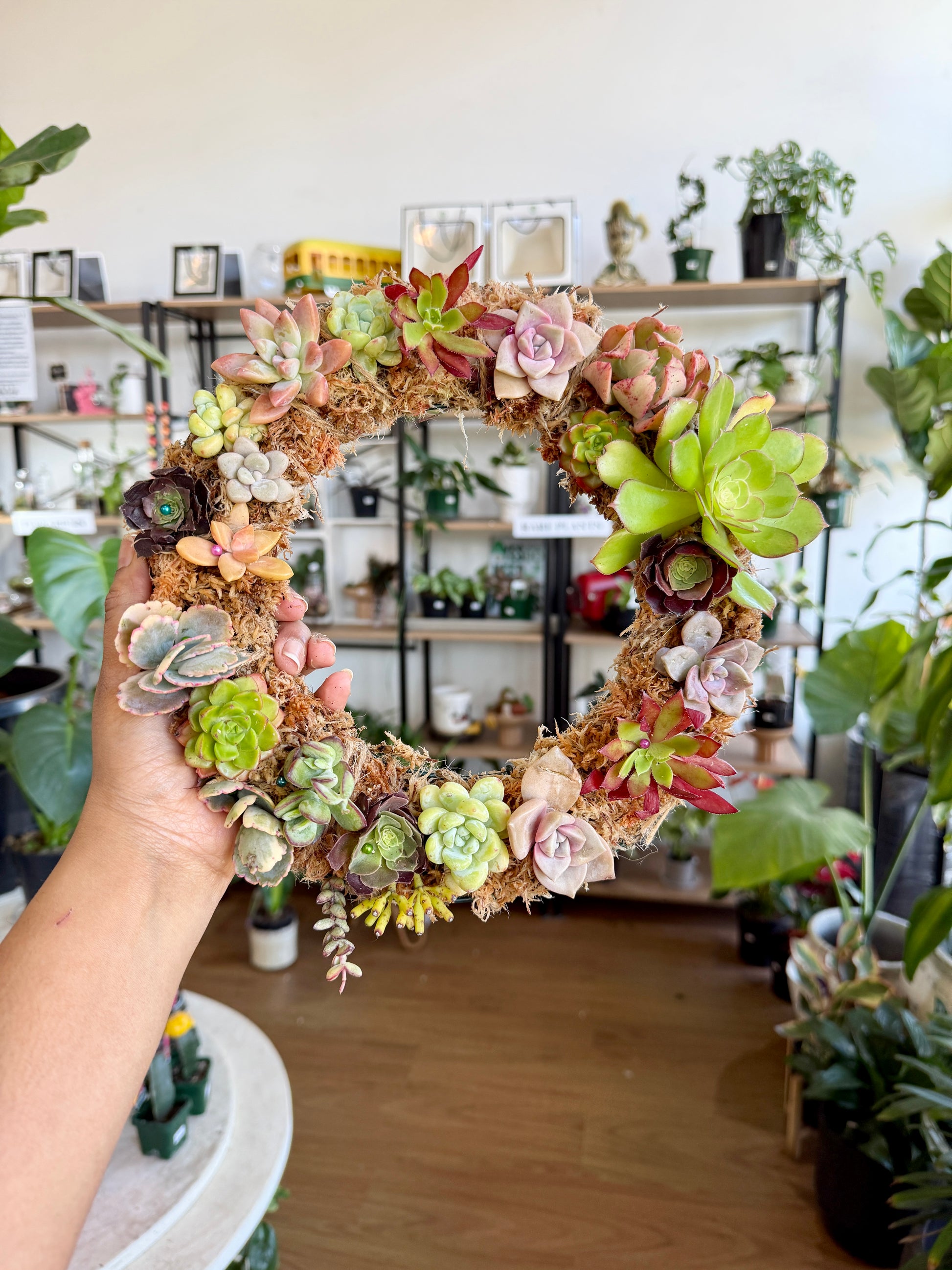 Succulent wreath making class in Sydney