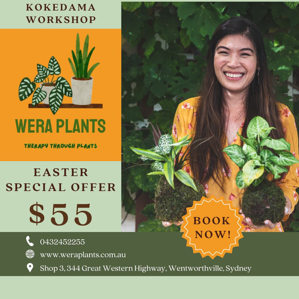 Easter 'Terrarium & Kokedama' Workshop in Sydney 🐰🦆