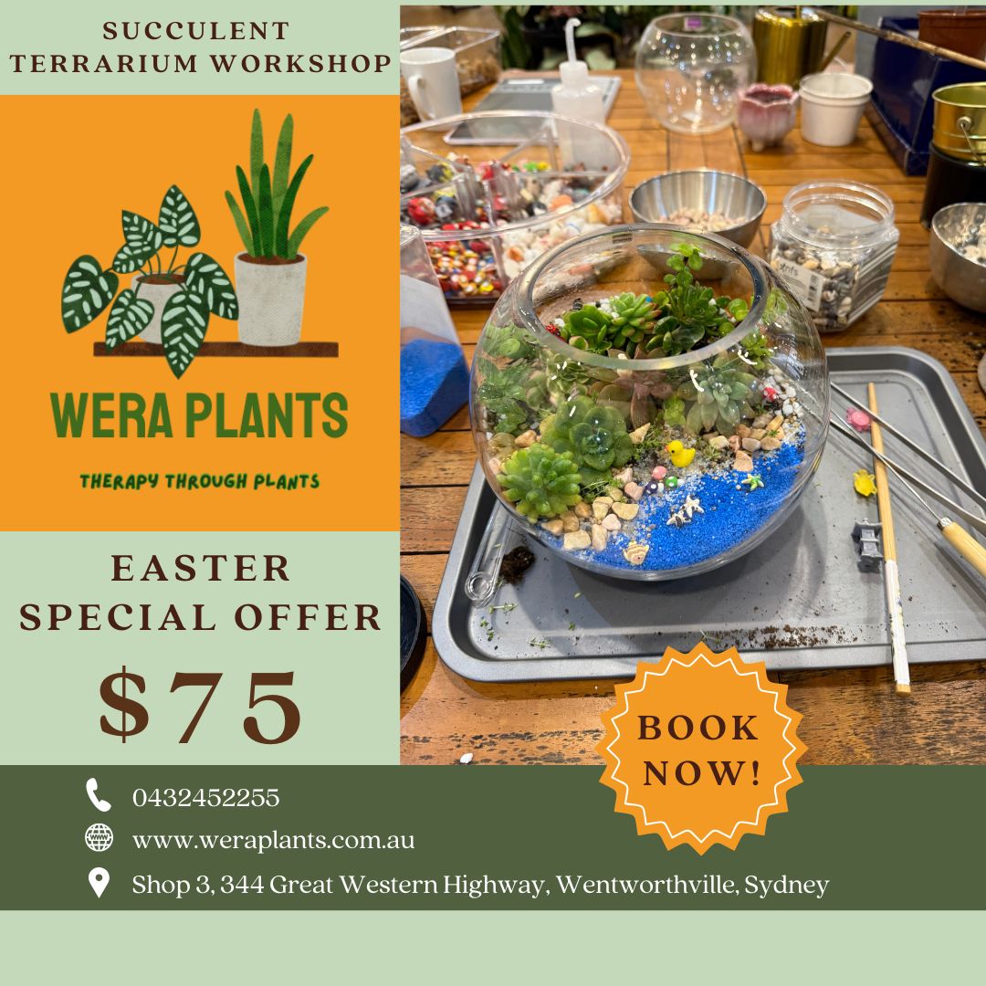 Easter 'Terrarium & Kokedama' Workshop in Sydney 🐰🦆