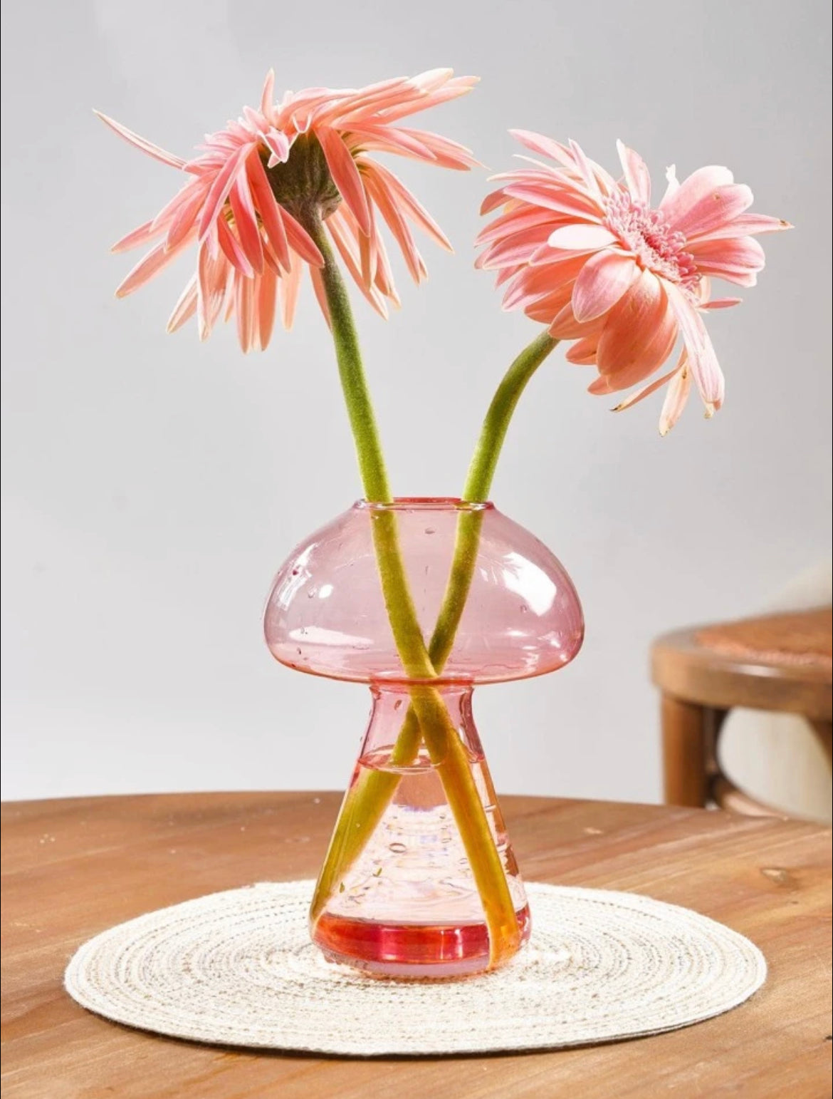 Cute Pink Mushroom Propagating Vase