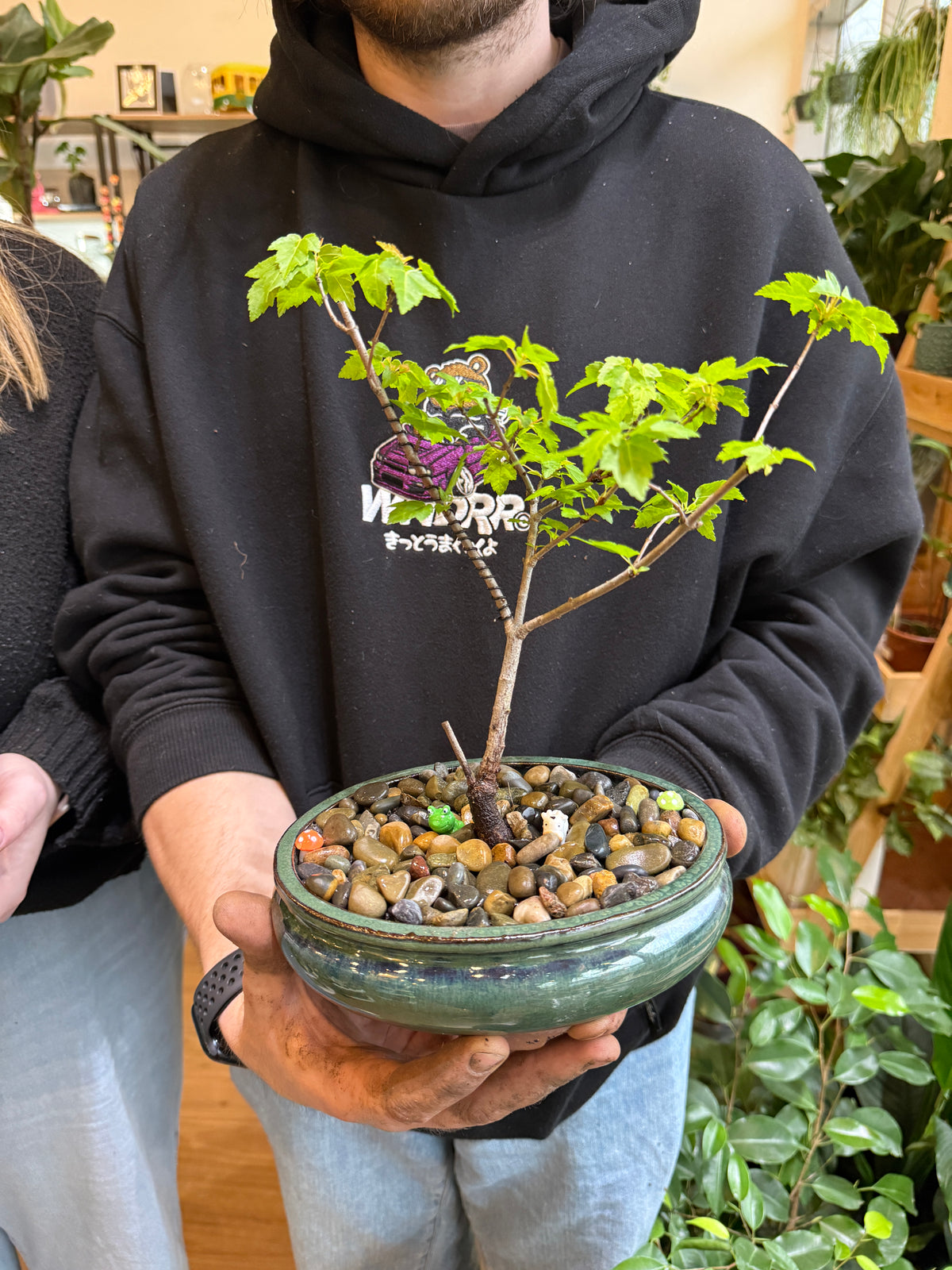 Beginner Bonsai Workshop