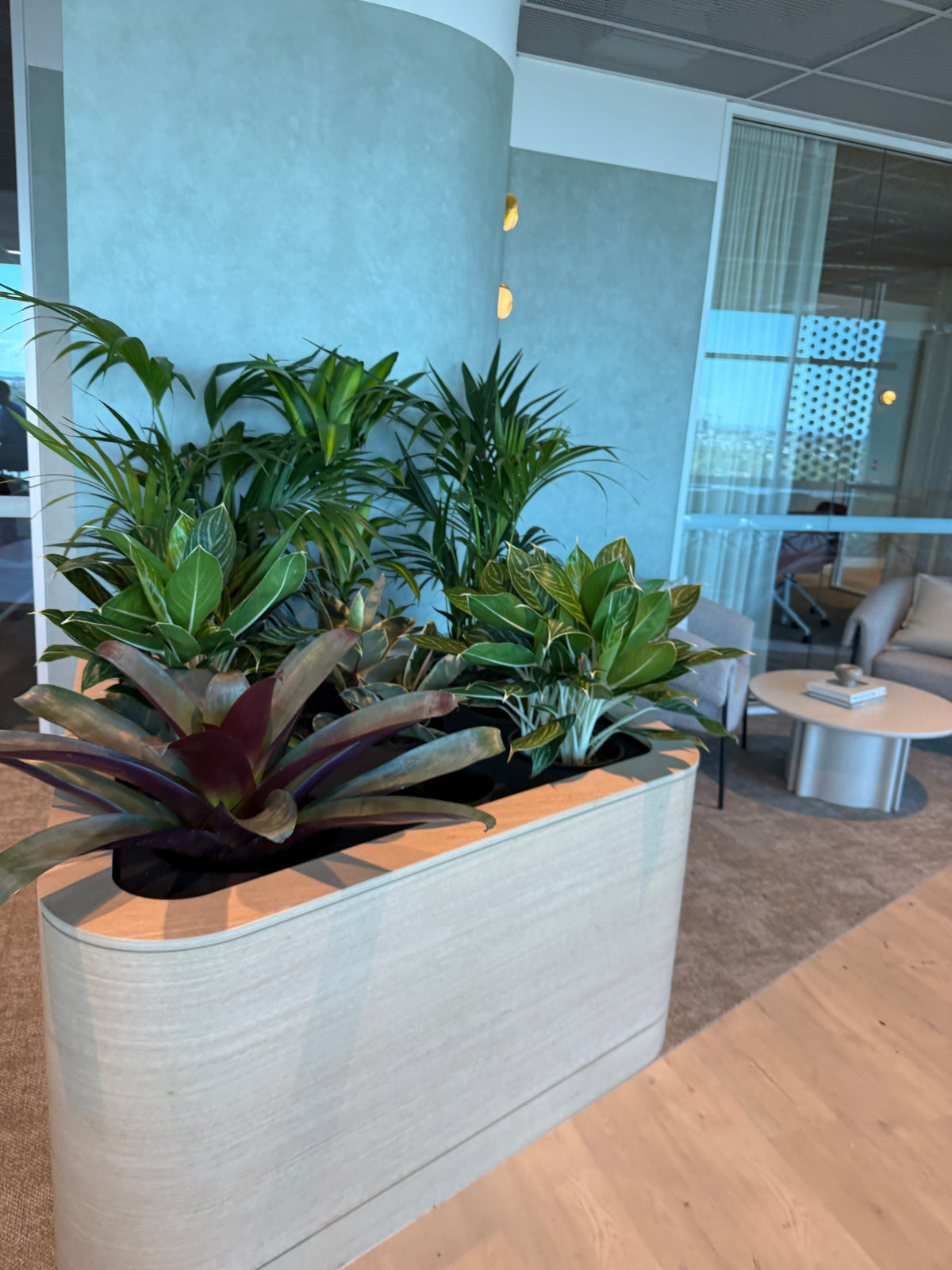 Parramatta Office Space