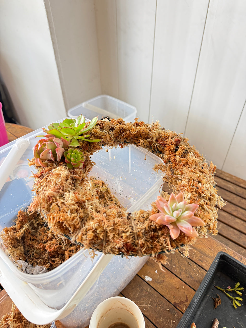 Succulent Wreath Workshop – Make a Living Wreath