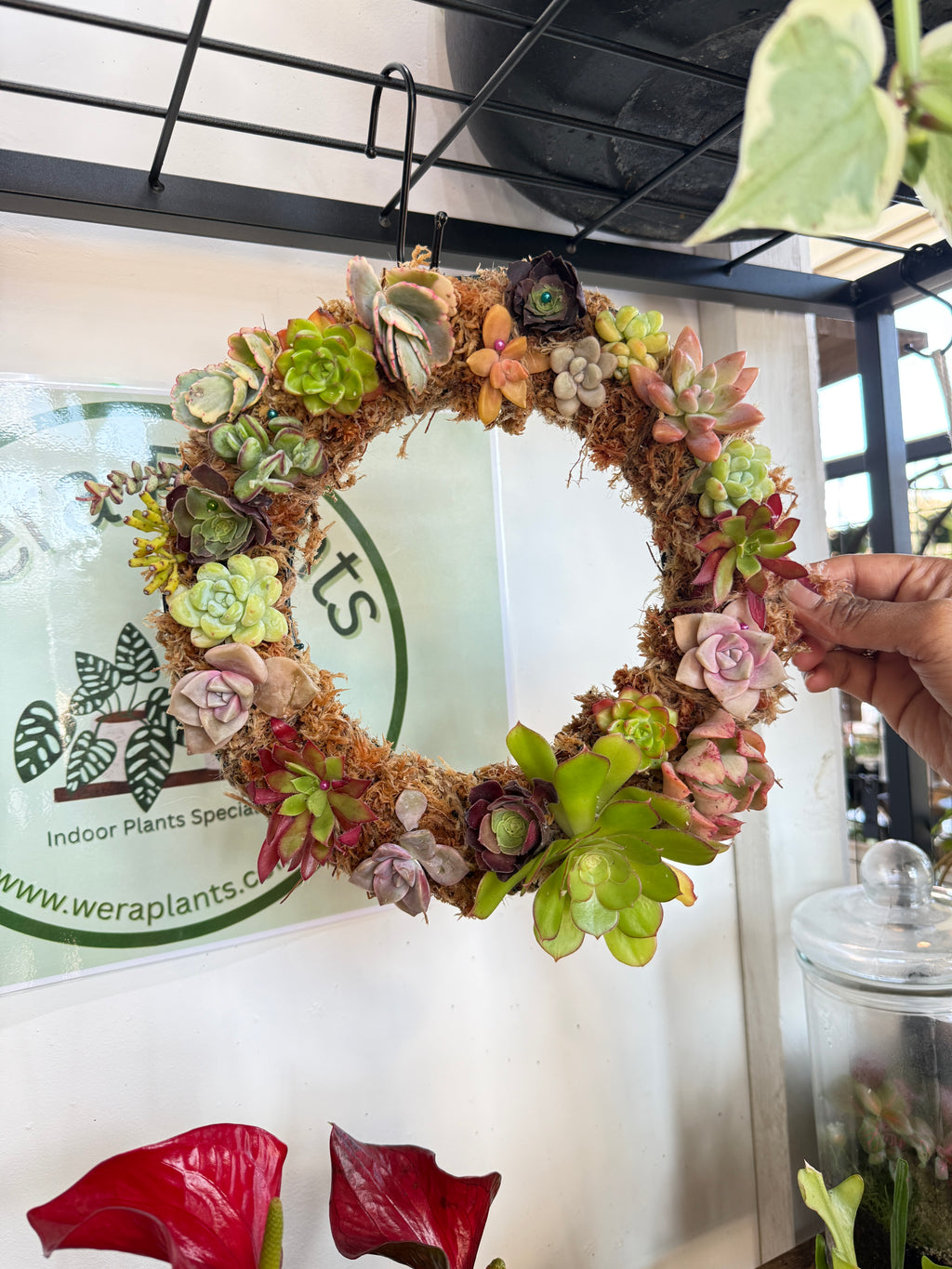 Succulent Wreath Workshop – Make a Living Wreath