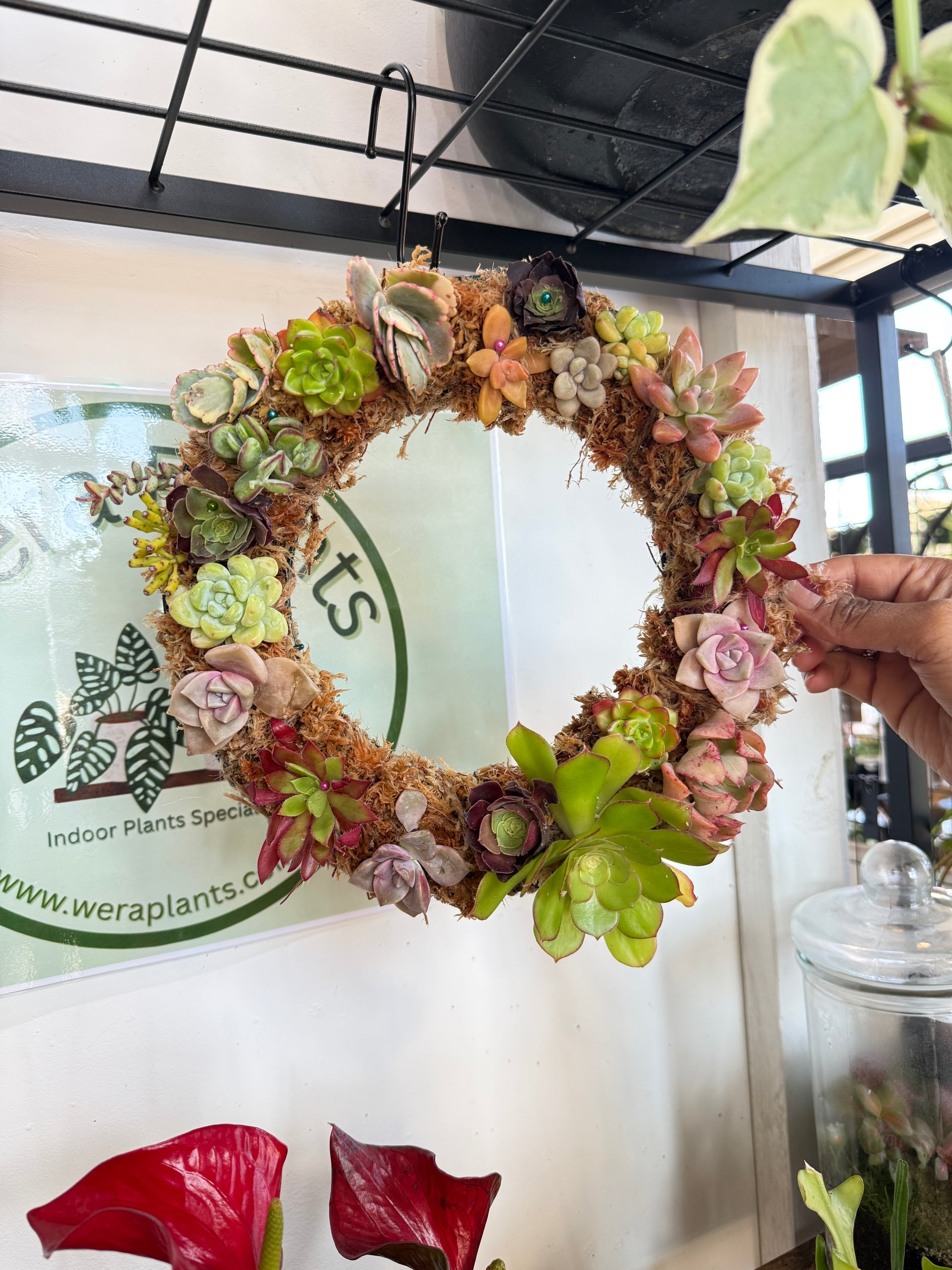 Succulent Wreath Workshop – Make a Living Wreath