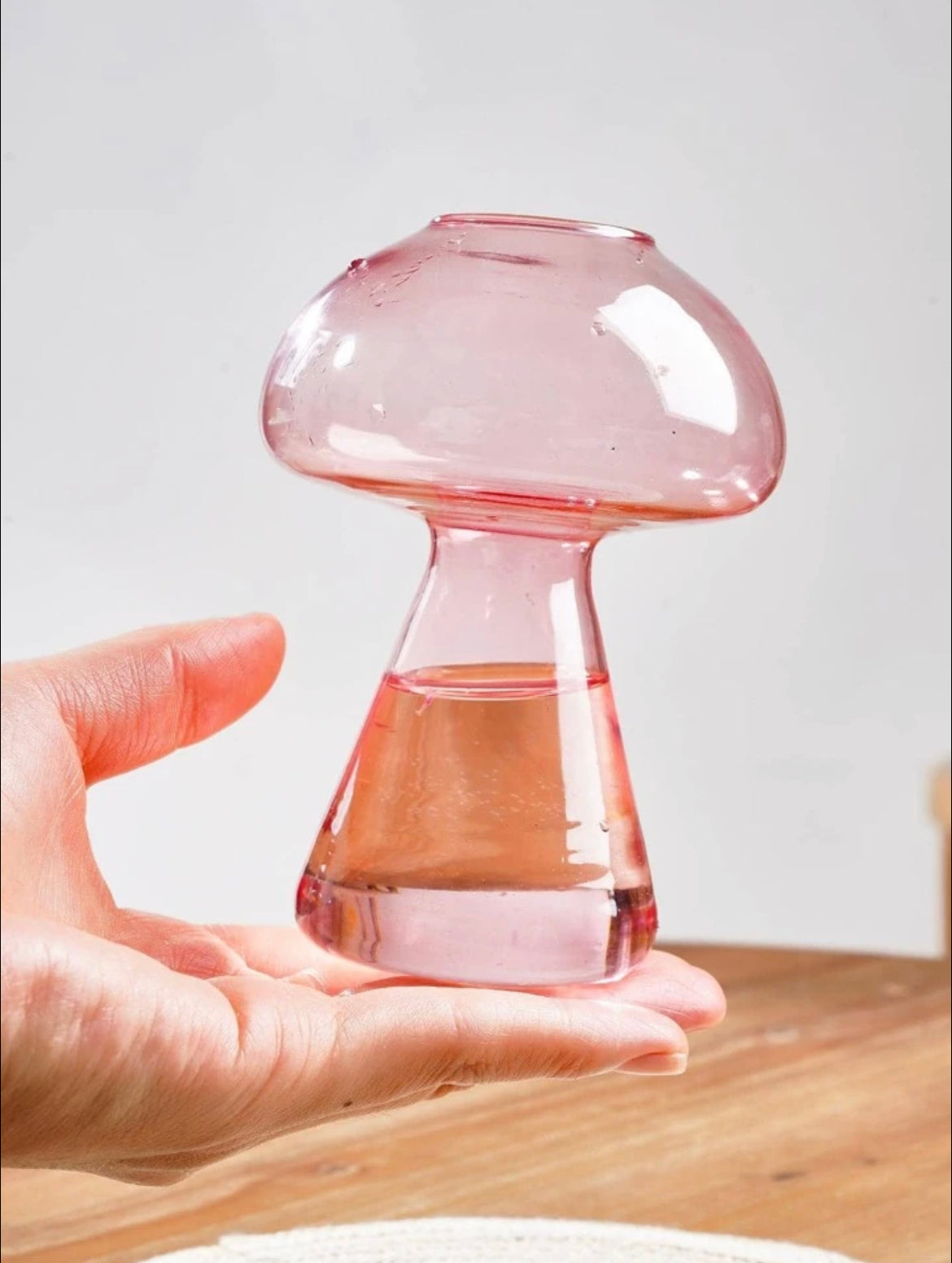 Cute Pink Mushroom Propagating Vase