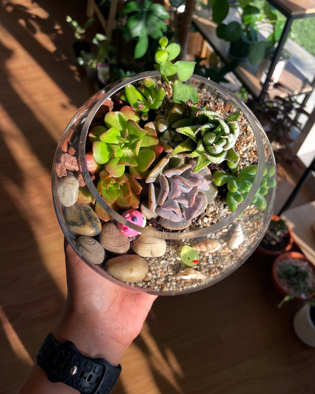 mushroom-propagating-glass-vase-red