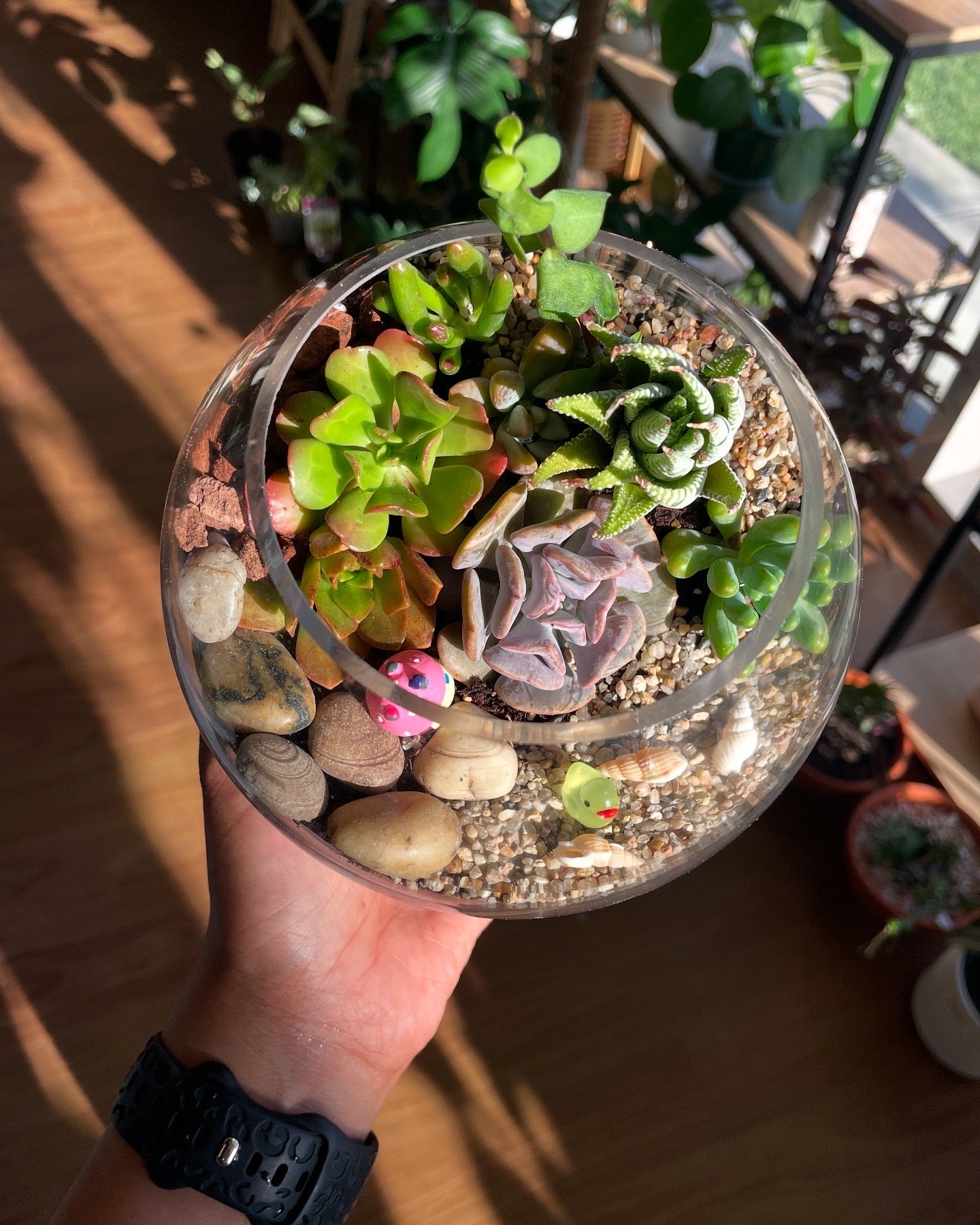 mushroom-propagating-glass-vase-red