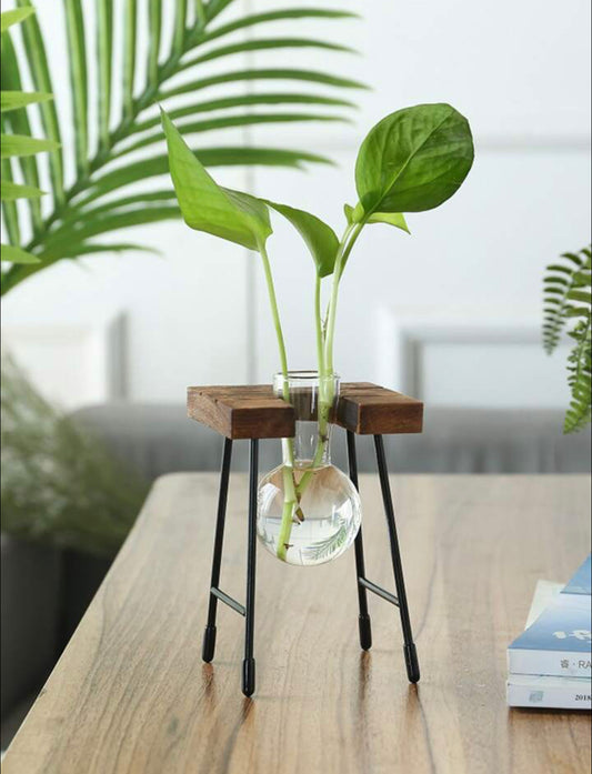 Glass Plant Vase With Wooden Frame (Single)
