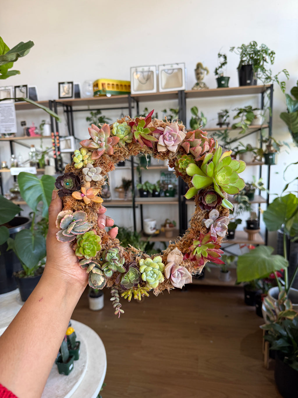 Succulent Wreath Workshop – Make a Living Wreath