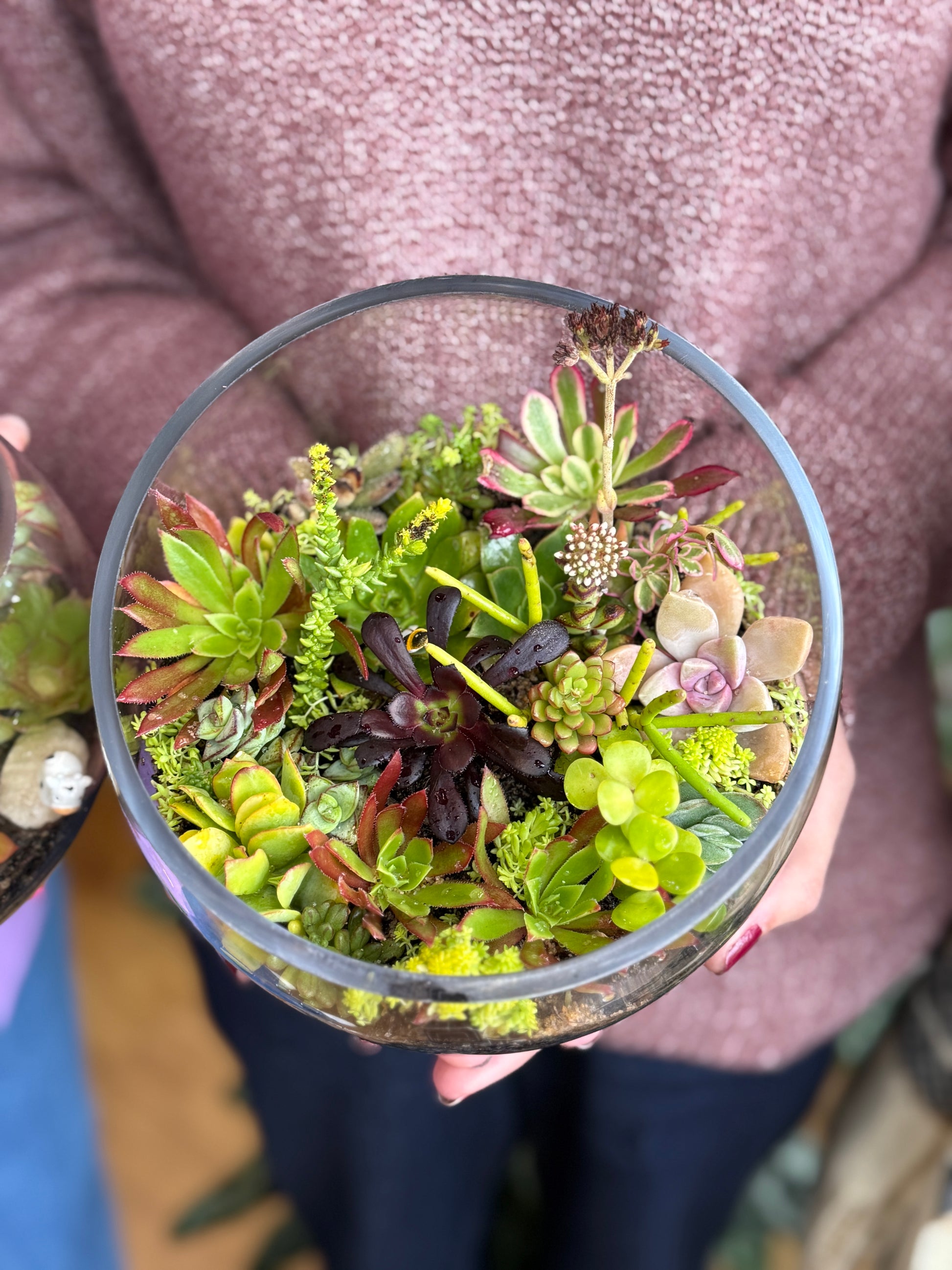 Succulent Terrarium Workshop