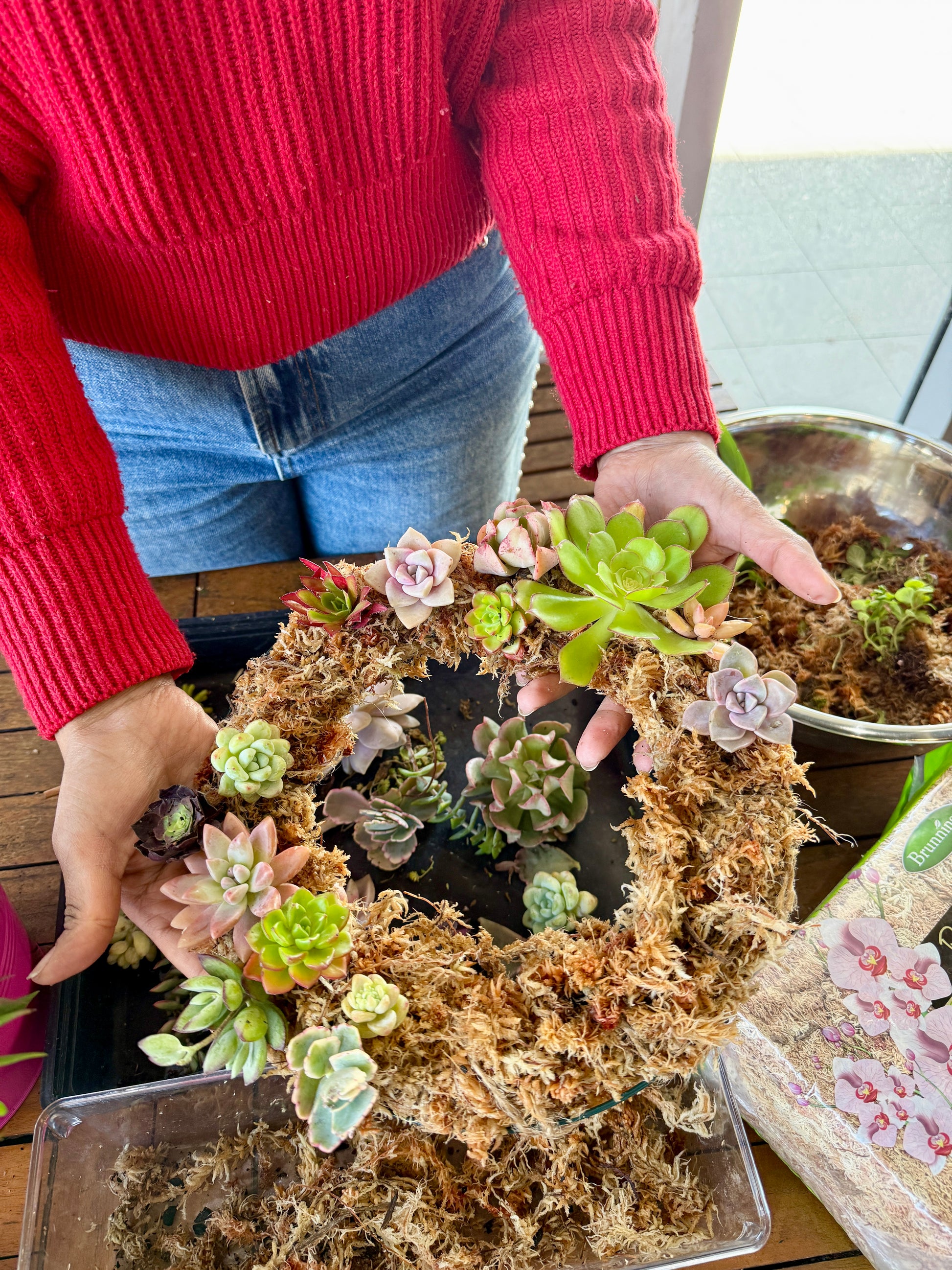 Succulent Wreath Workshop – Make a Living Wreath