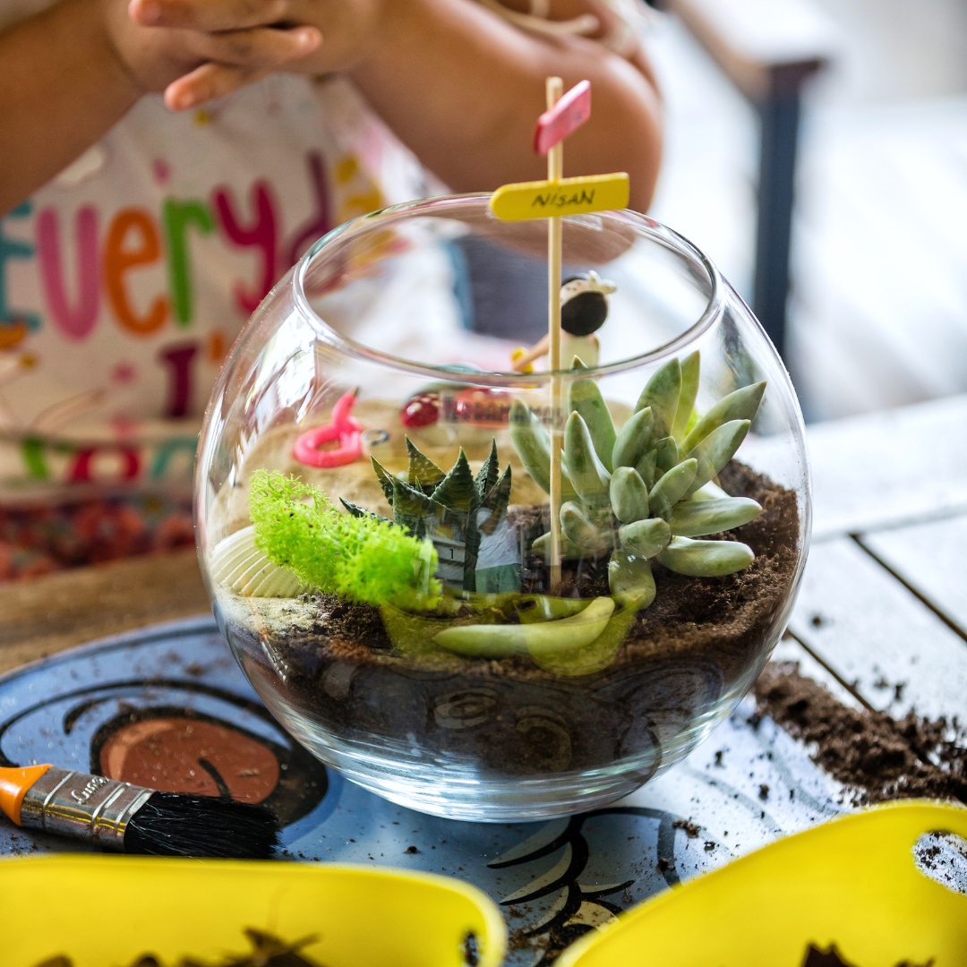 succulent-terrarium-workshop-1