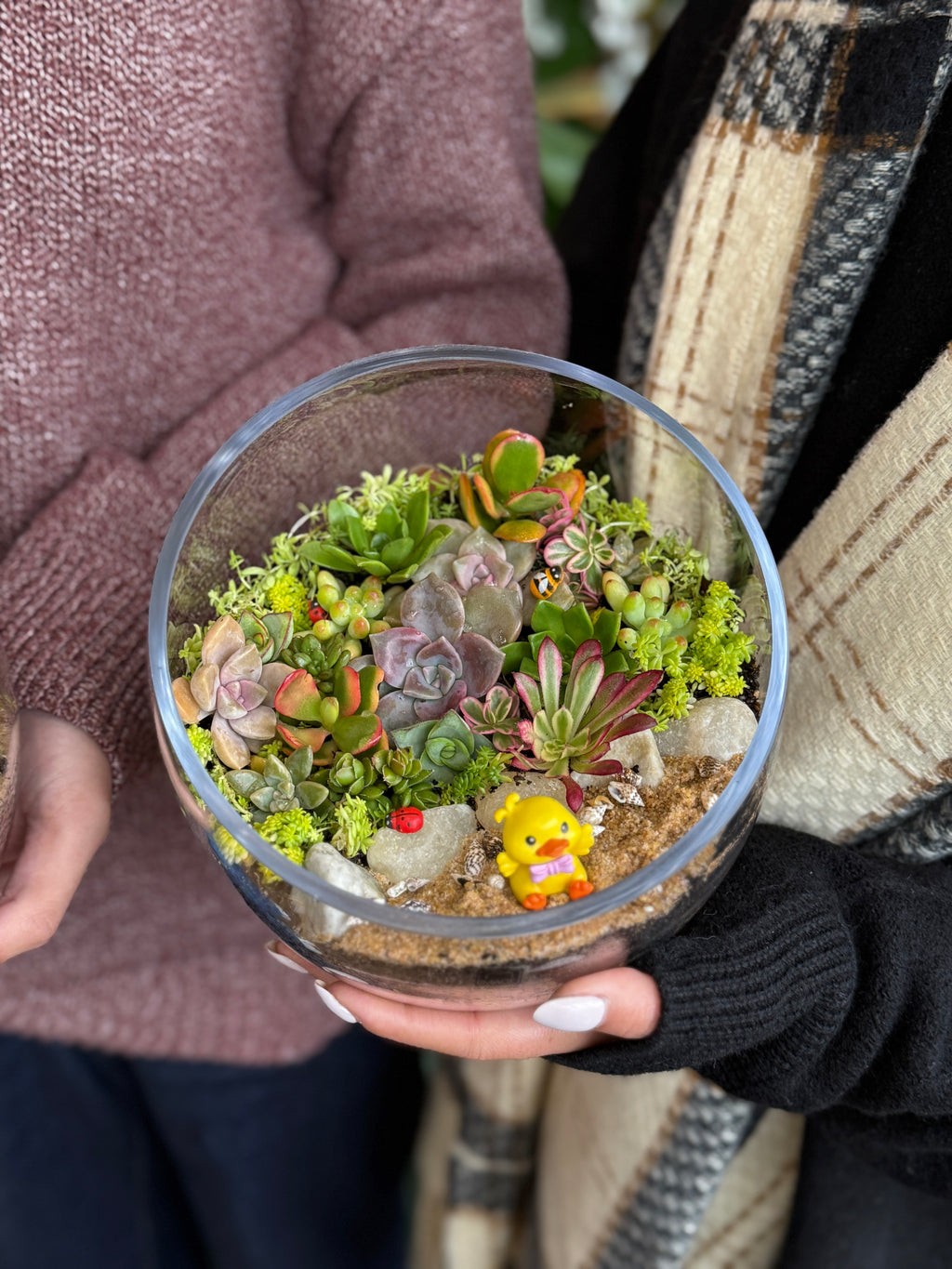 Succulent Terrarium Workshop