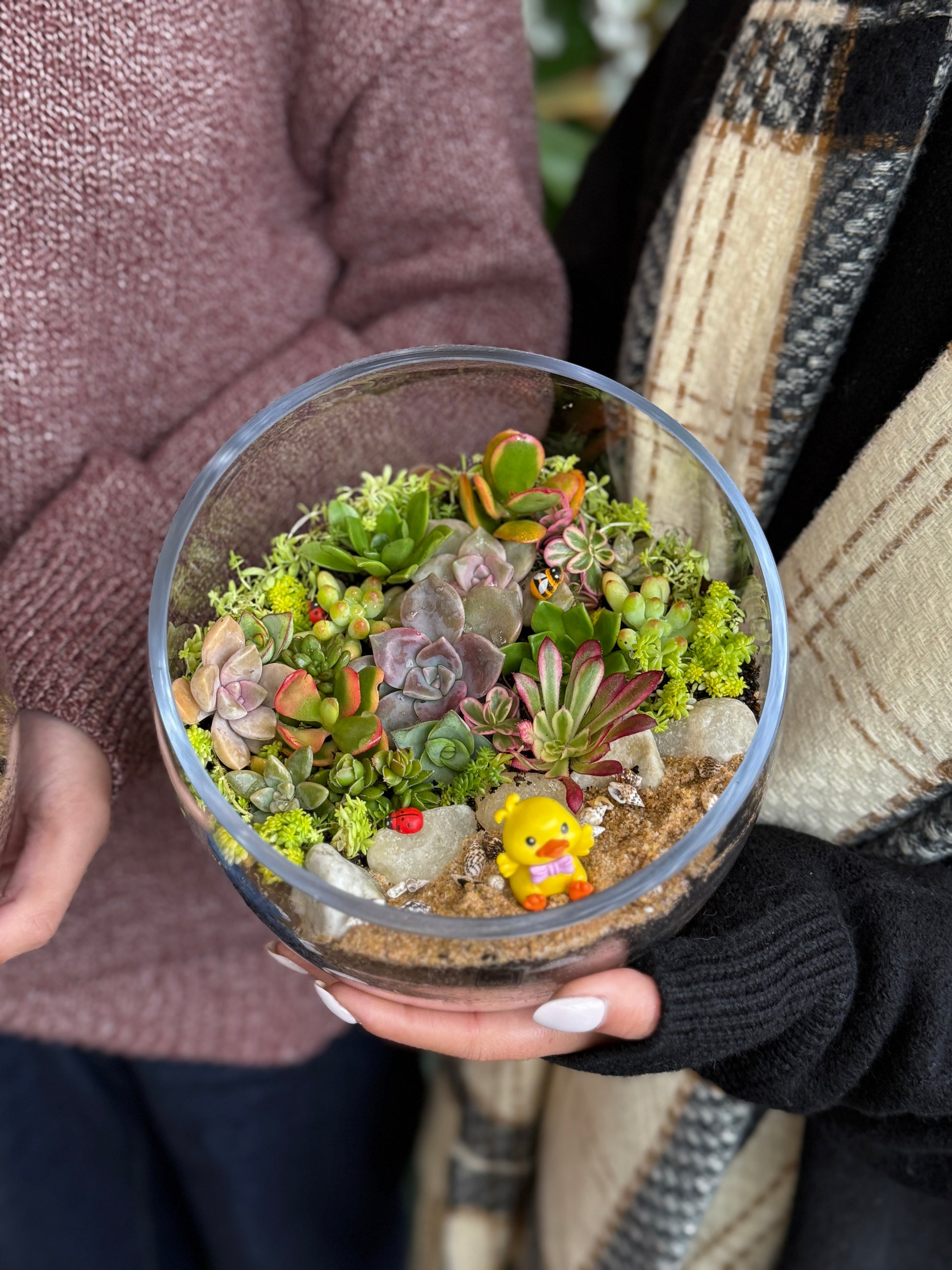 Succulent Terrarium Workshop