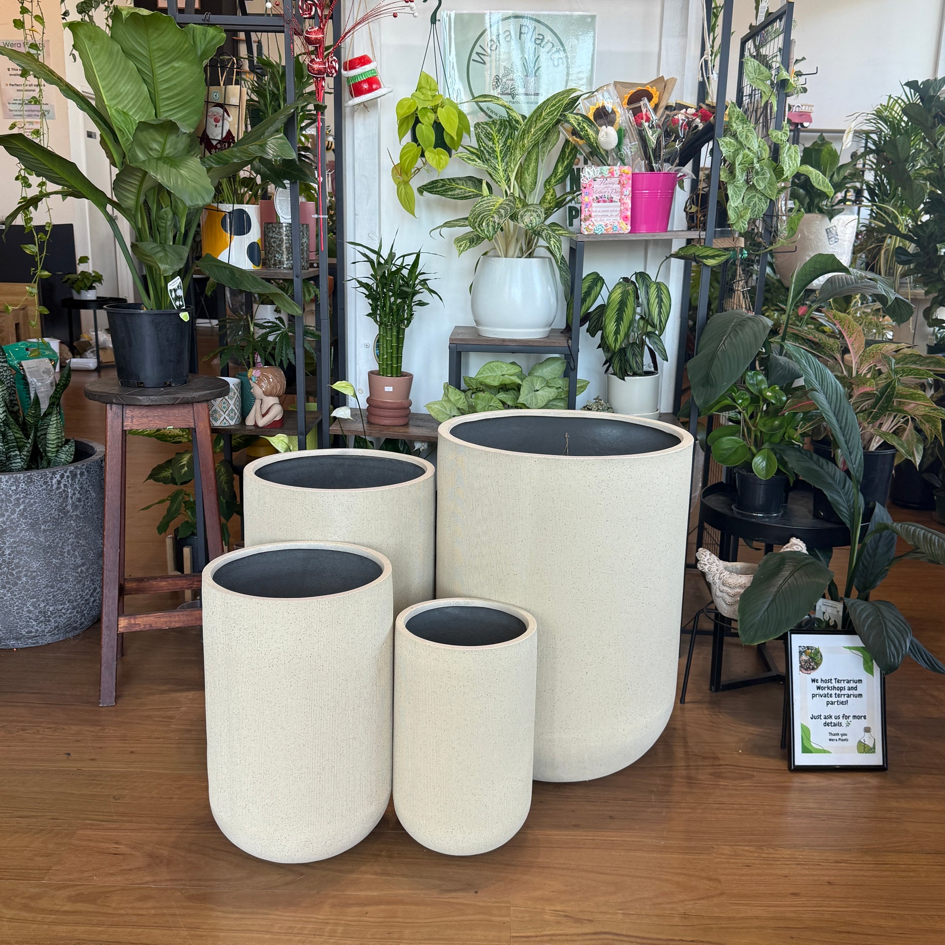 Set of four beige tall indoor planters in varying heights styled with green indoor plants for modern home decor