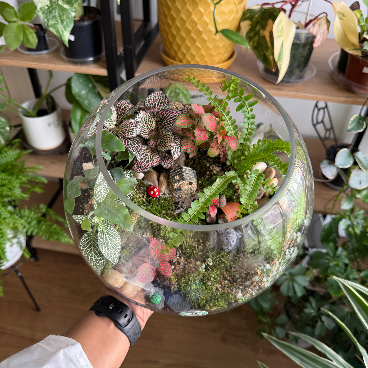 Tropical Terrarium Workshop