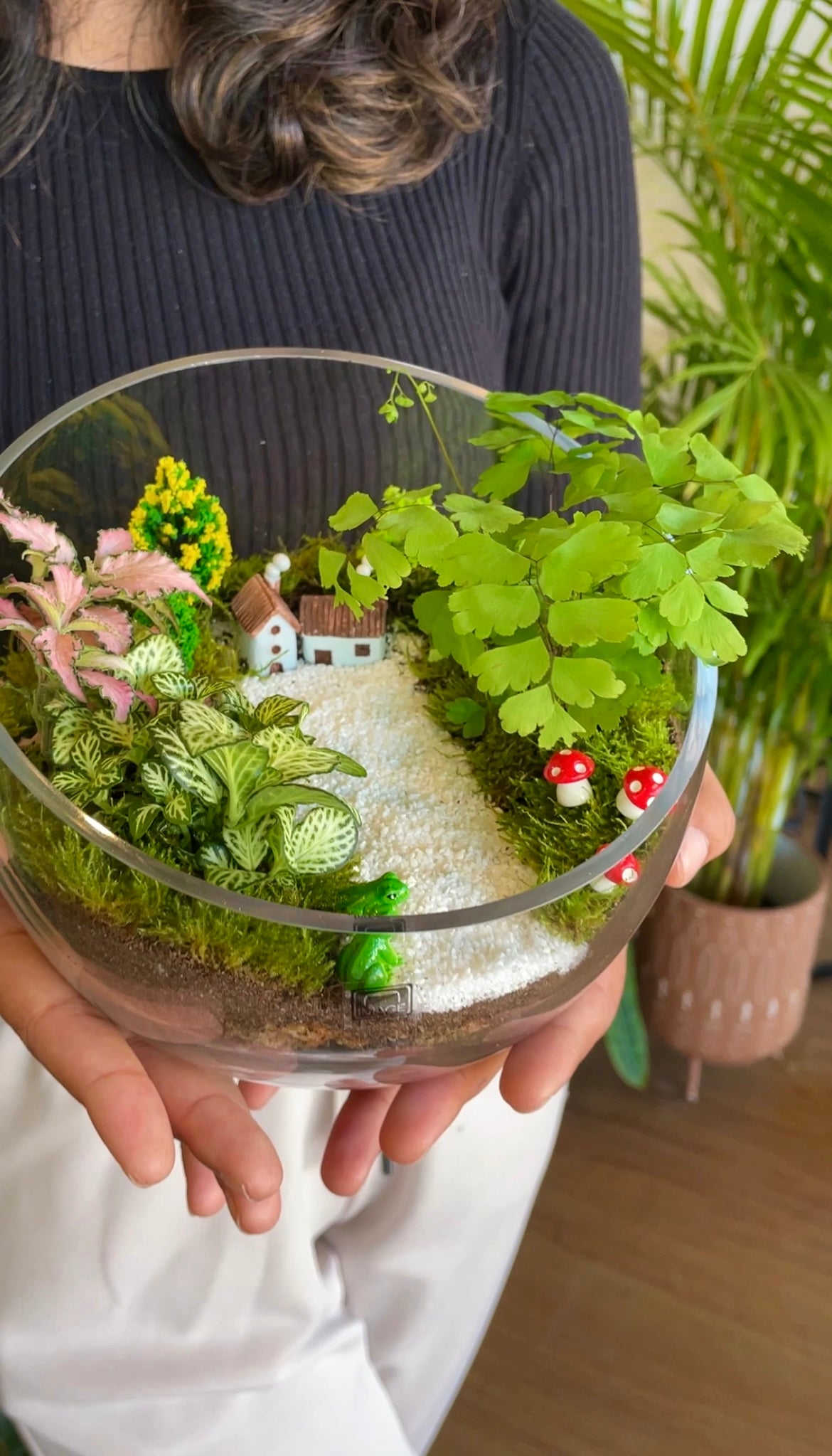 sunday-terrarium-workshop-near-me
