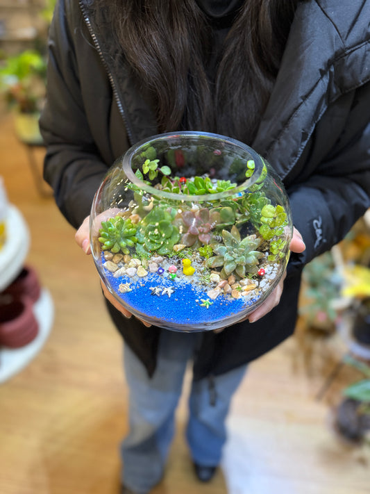Succulent Terrarium Workshop