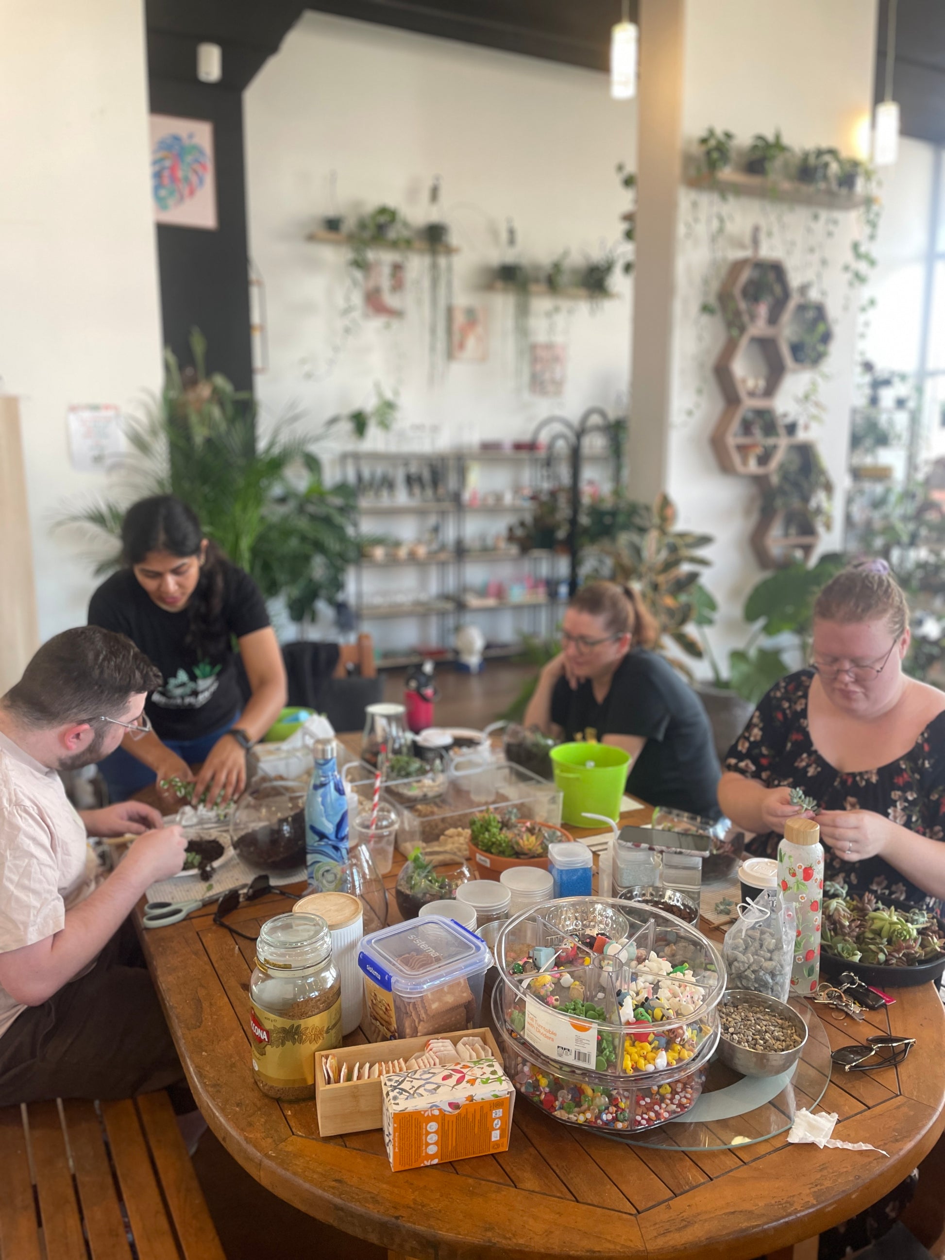 mothers-day-high-tea-terrarium-workshop-in-sydney