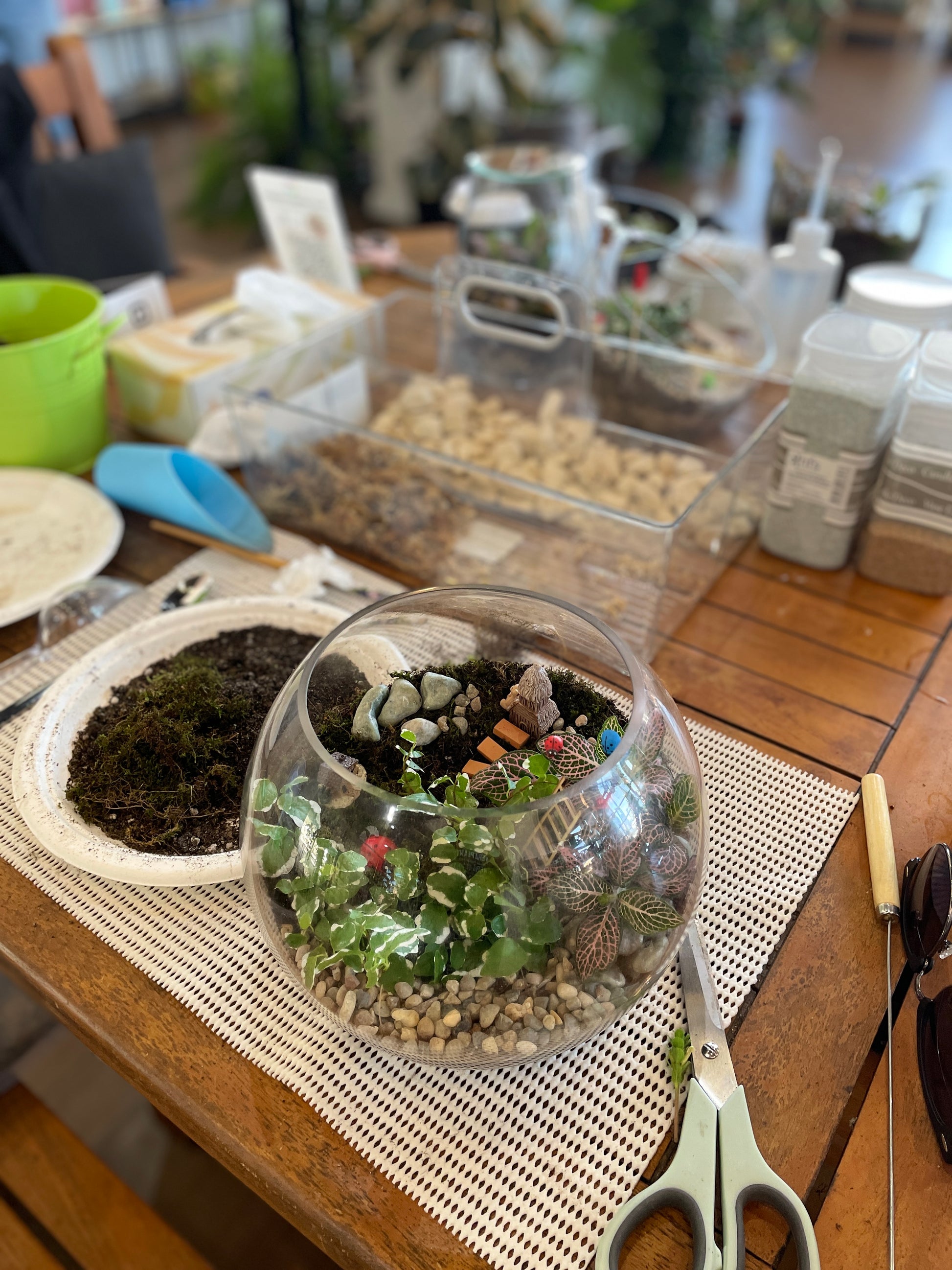 saturday-terrarium-workshop-near-me