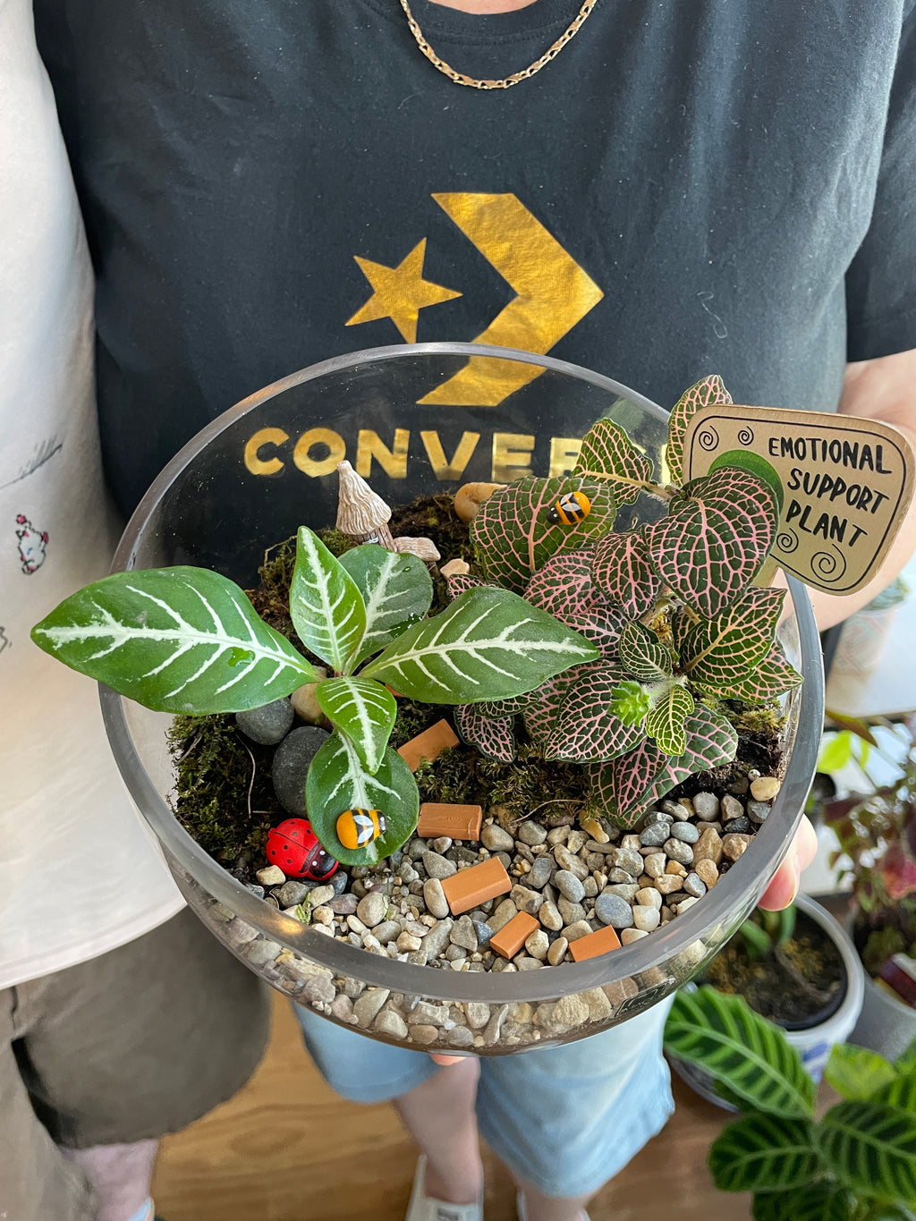 sunday-terrarium-workshop-near-me