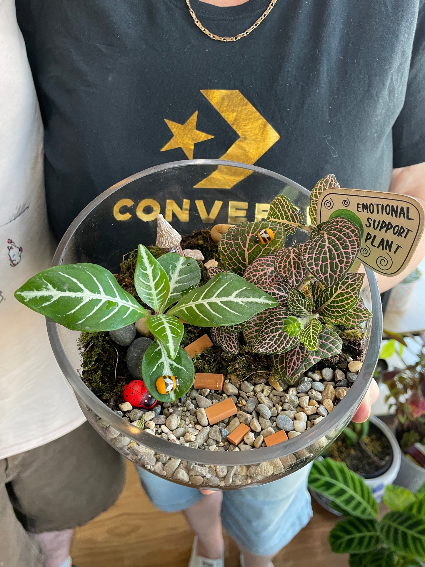 sunday-terrarium-workshop-near-me