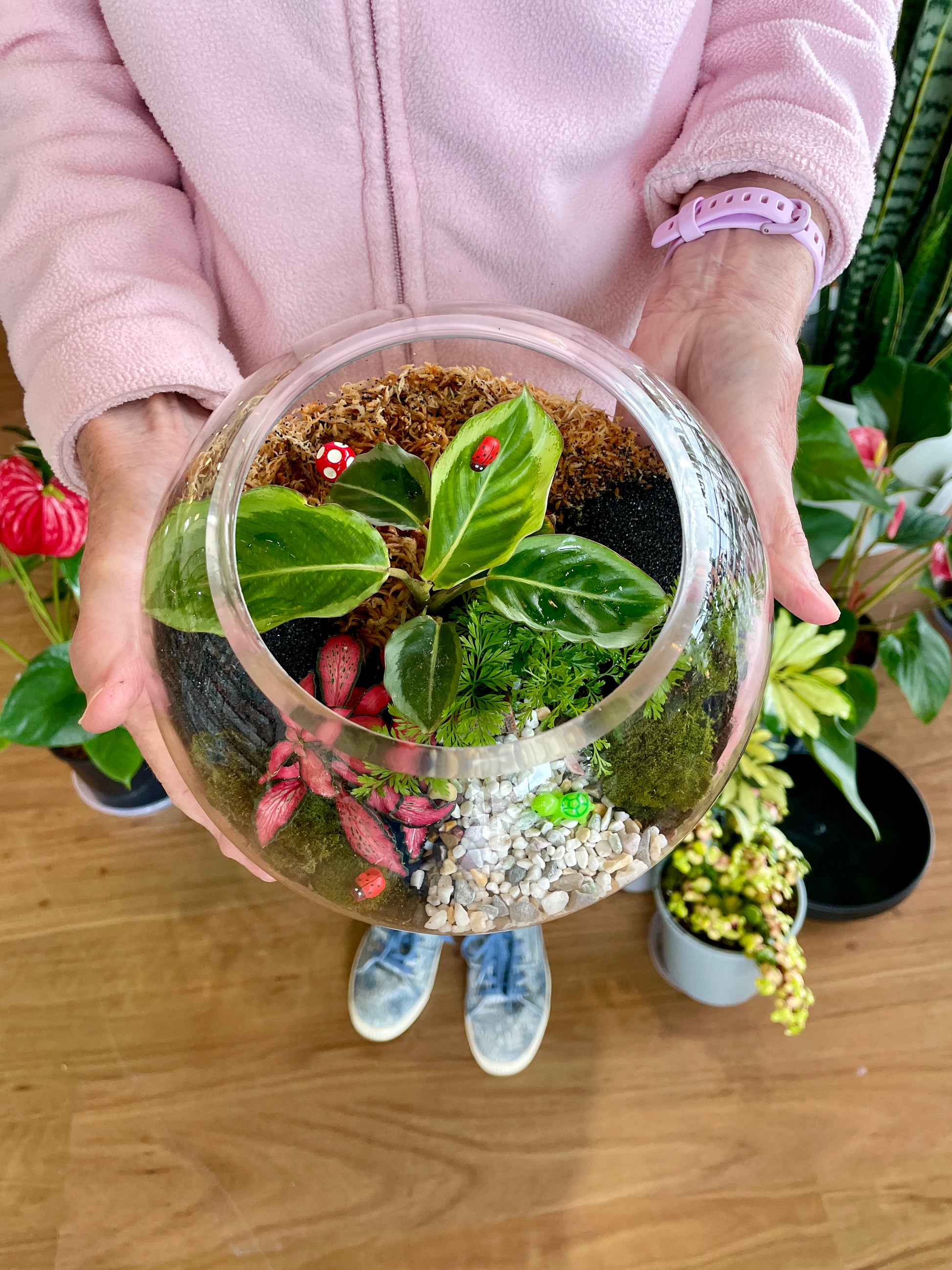 saturday-terrarium-workshop-near-me
