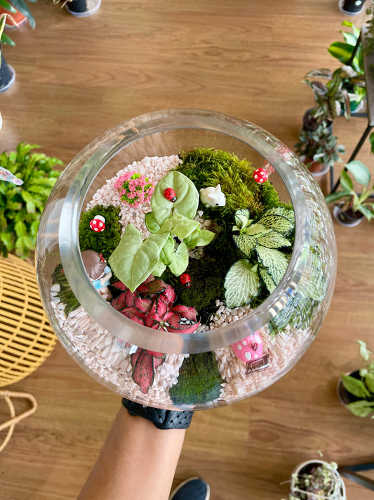 friday-terrarium-workshop