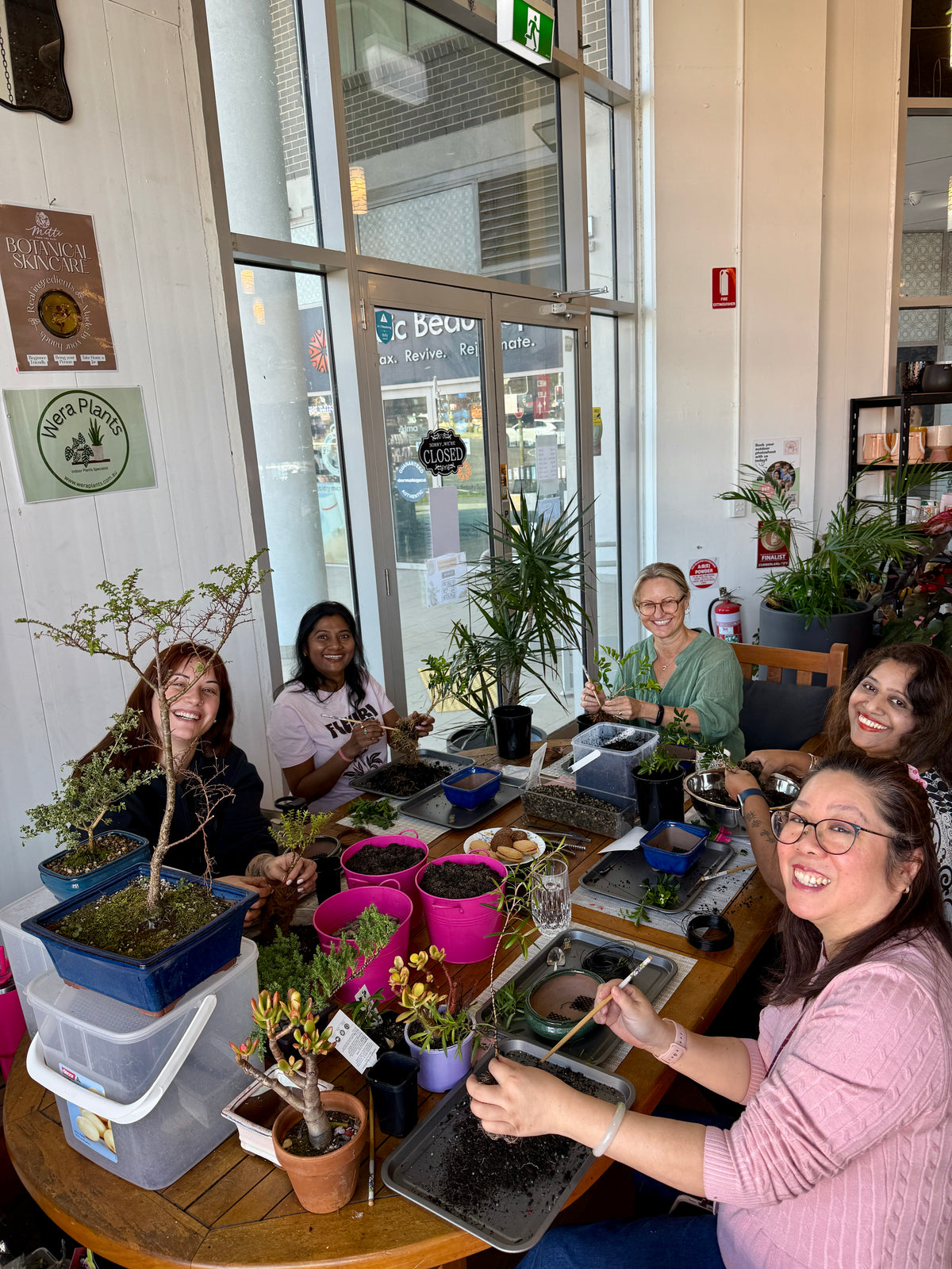 Beginner Bonsai Workshop