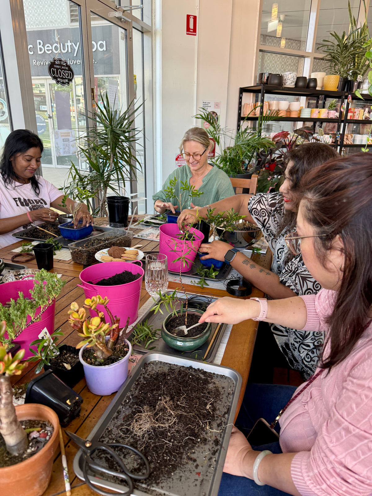Beginner Bonsai Workshop