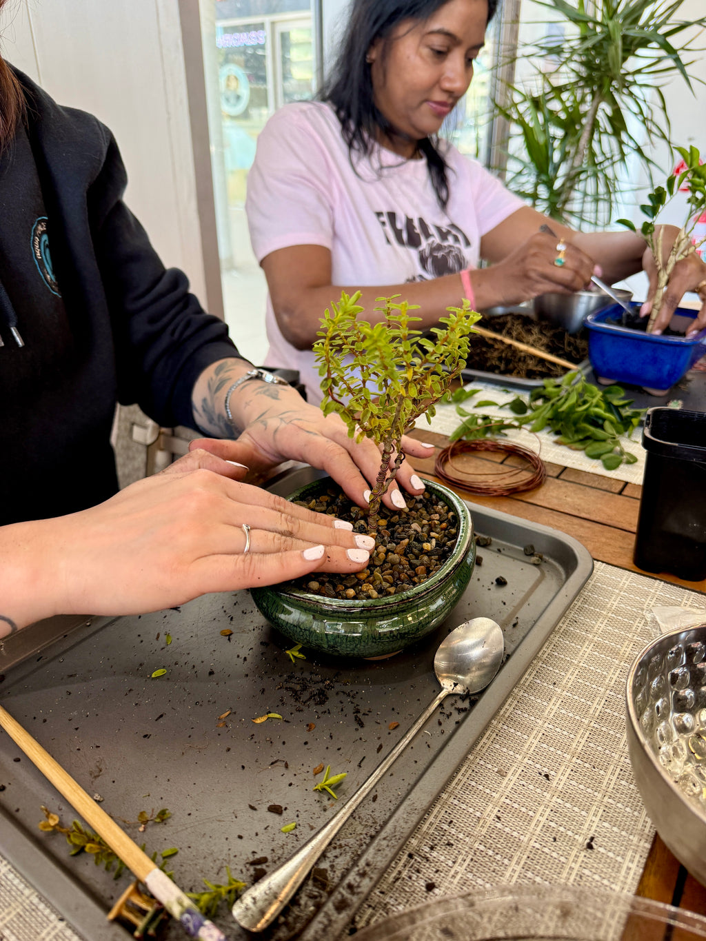 Beginner Bonsai Workshop