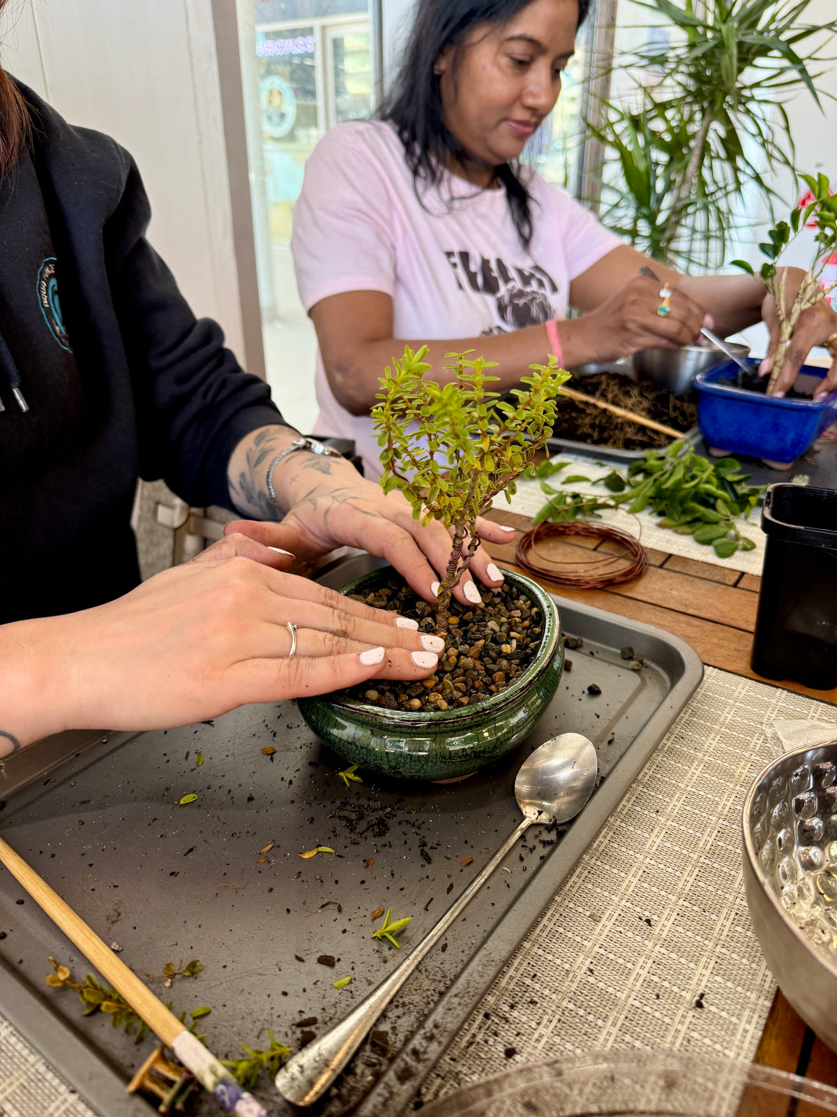 Beginner Bonsai Workshop