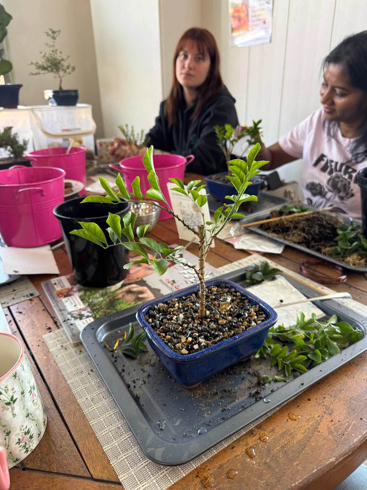 Beginner Bonsai Workshop